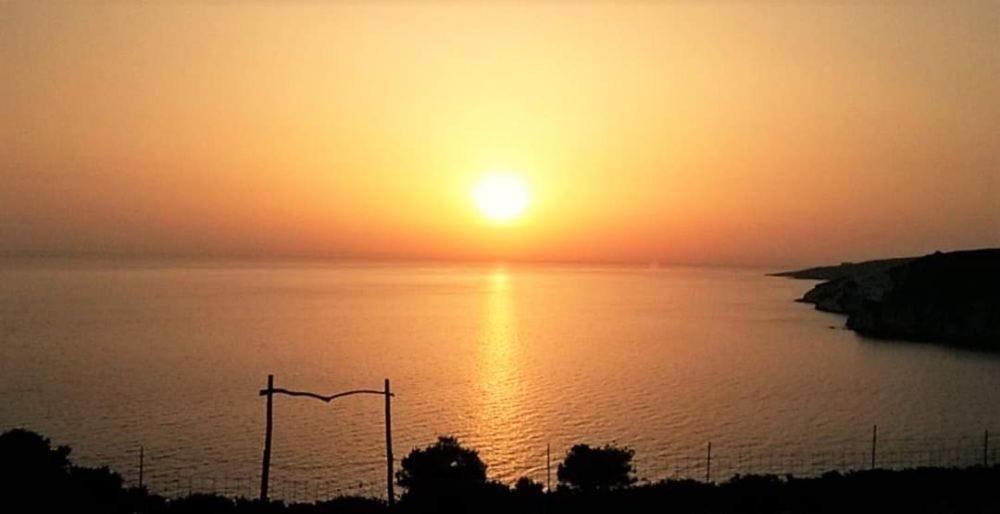 Araucaria Apartments - Close to Tsilivi & Zante Town, by ZanteWize