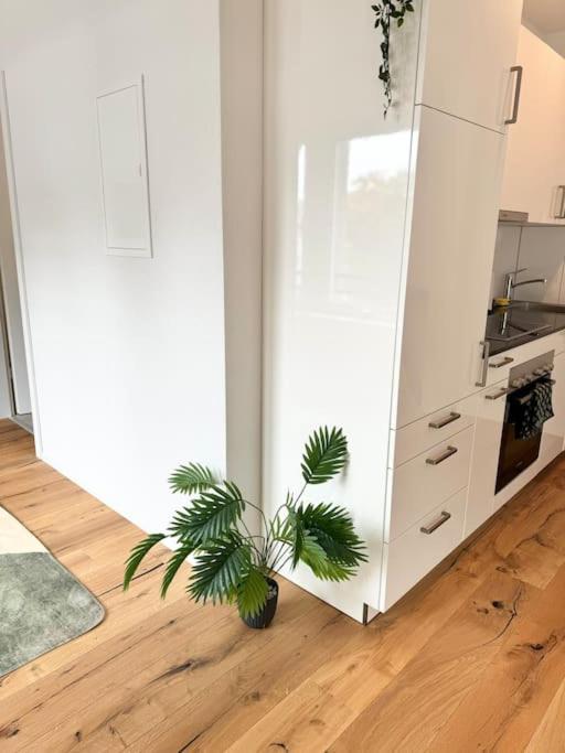 Apartment im Zentrum St Gallen