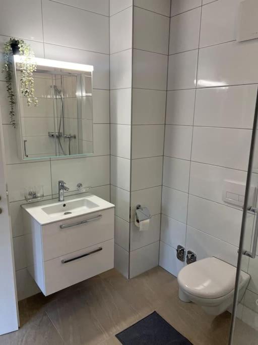 Apartment im Zentrum St Gallen