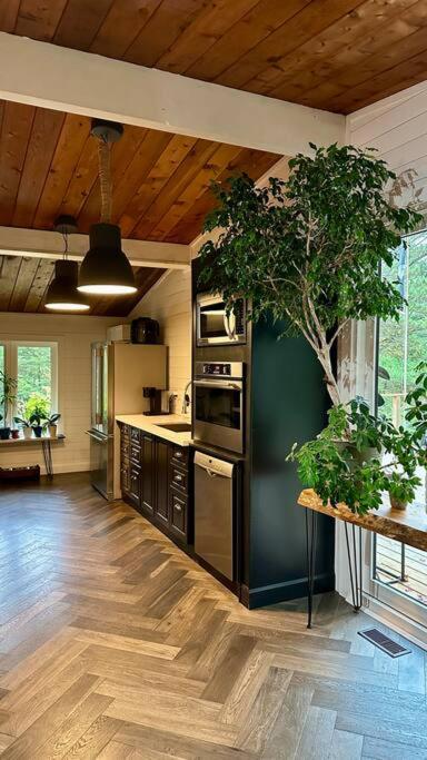 River House