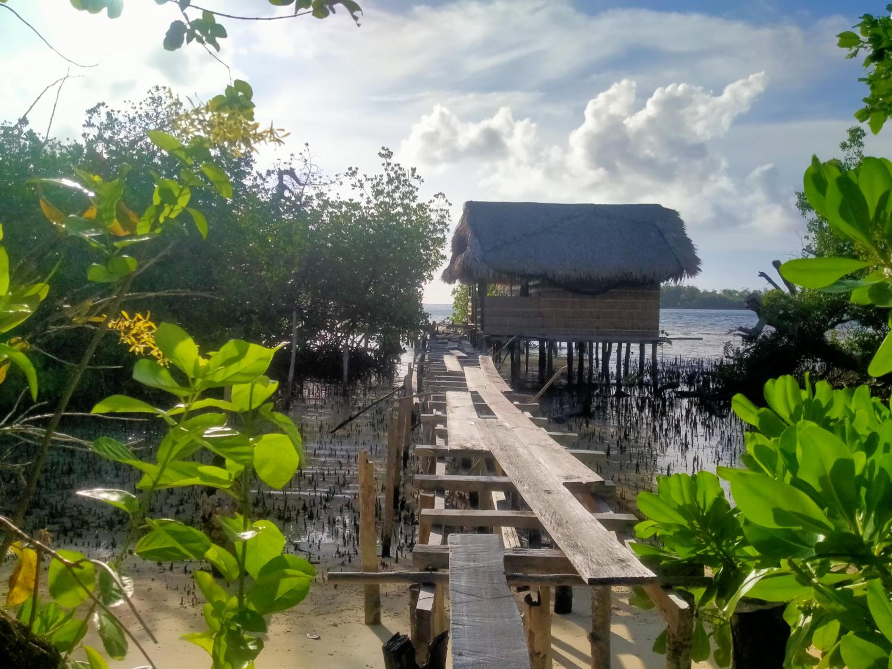 Sea Whip Homestay