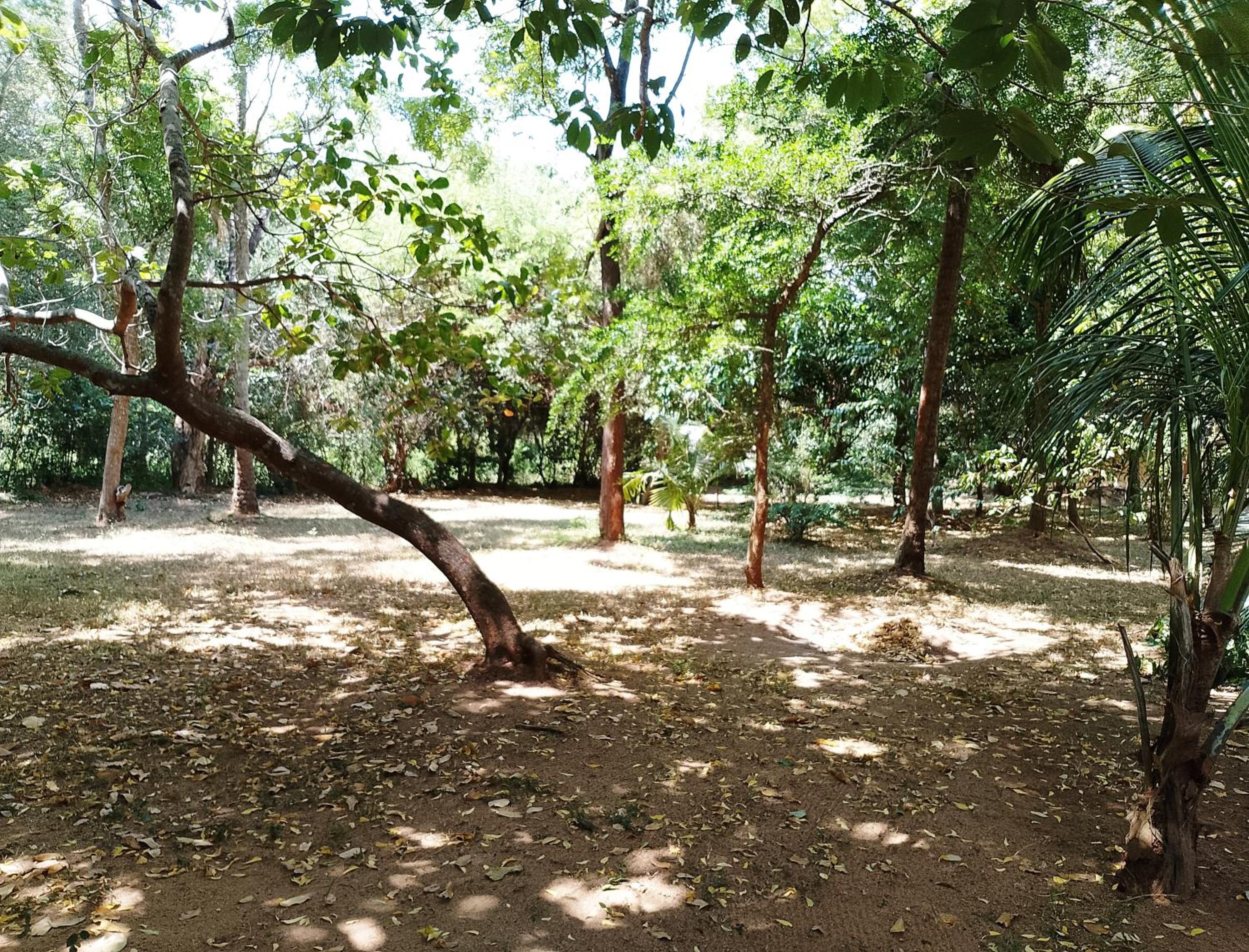 Olukaranda Walauwa
