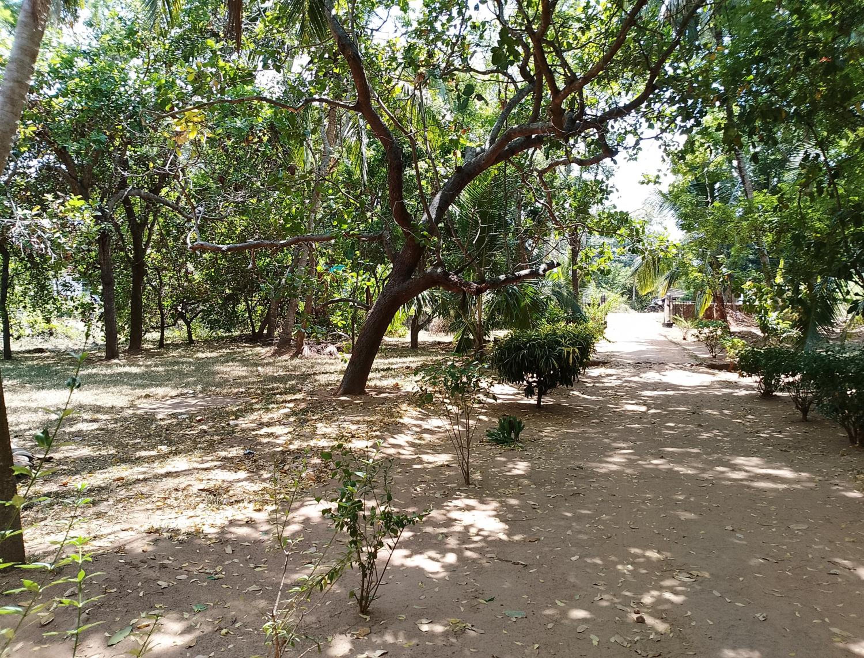 Olukaranda Walauwa