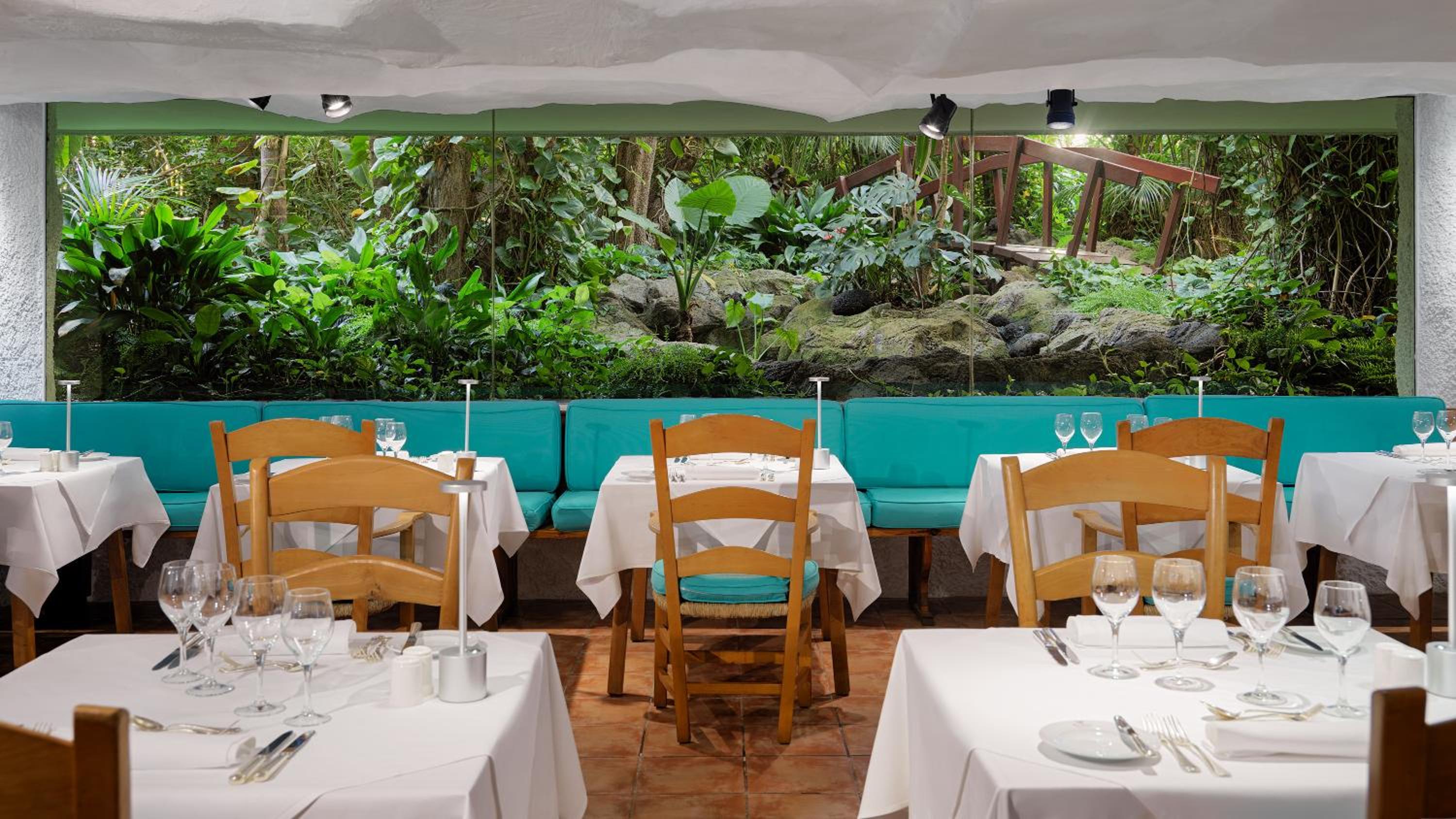 Puerto de la Cruz Vacations - Hotel Botanico y Oriental Spa Garden - Property Image 13
