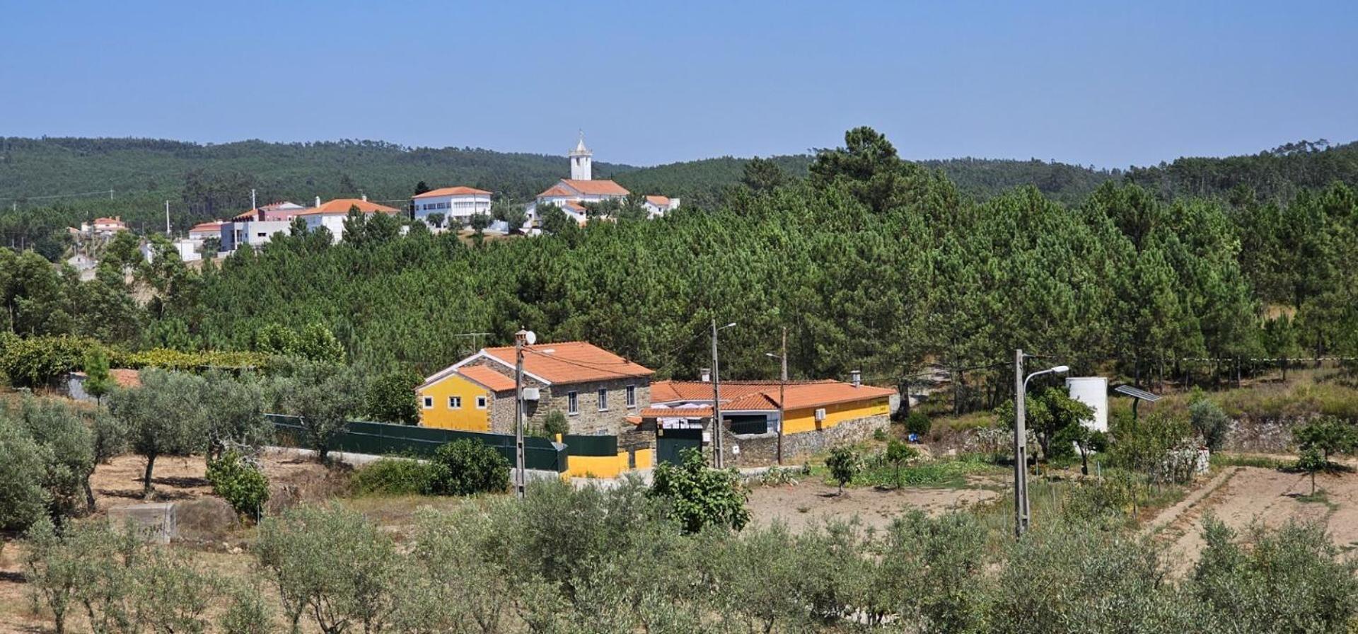 Quinta Penedo das Antas view 2
