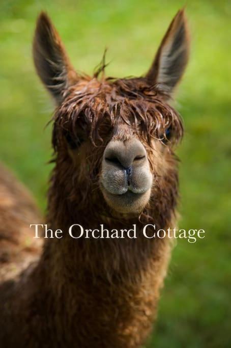 The Orchard Cottage