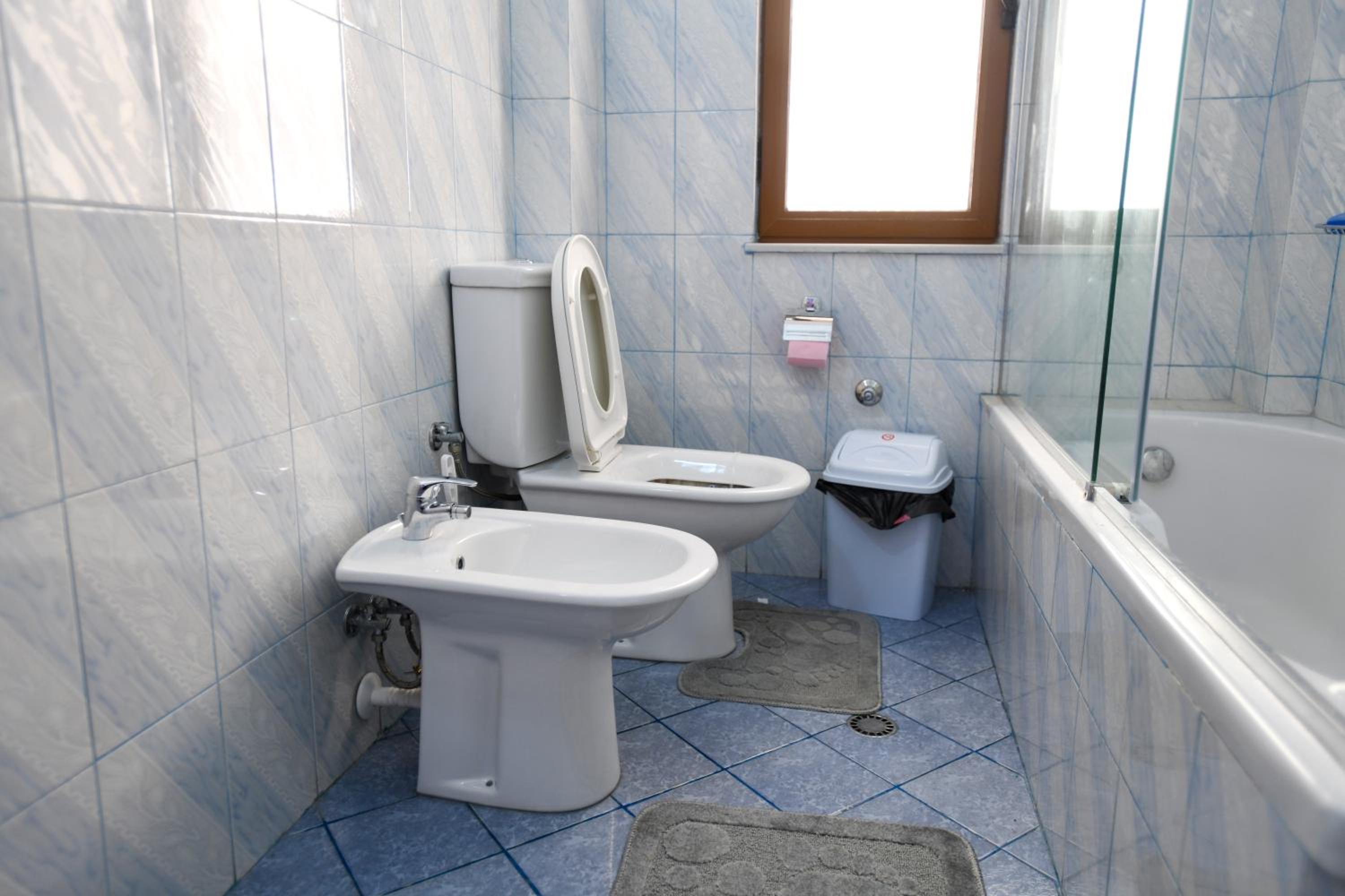 Guesthouse Alemannia