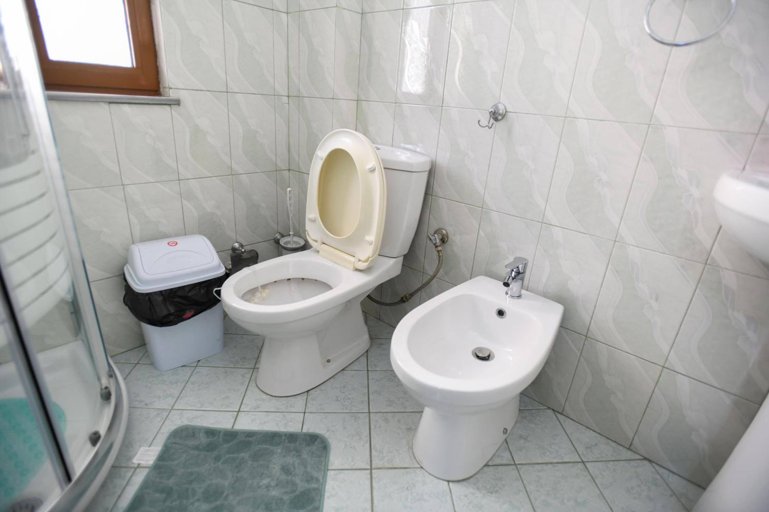 Guesthouse Alemannia