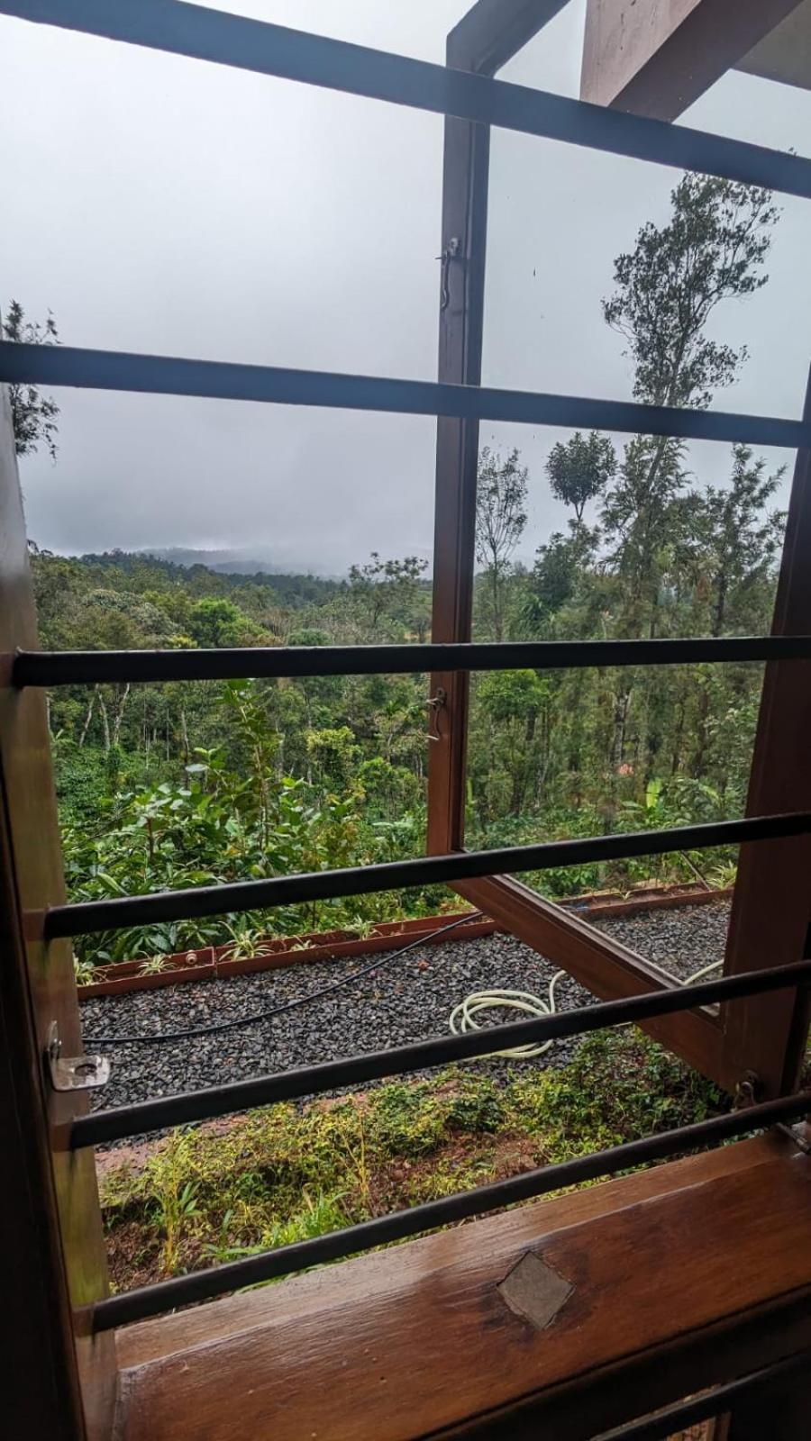Pepper Berry Hills view 2