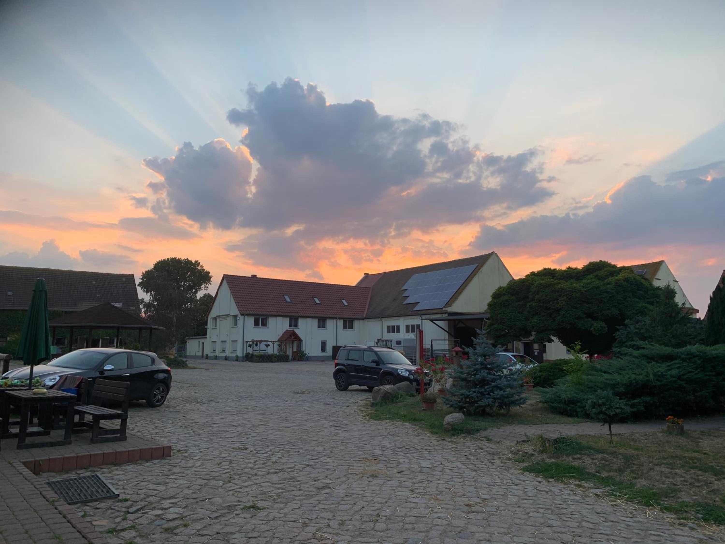 Ruhiges Wohlfühlzimmer auf dem Pferdehof Gut Greppin - mit Kochnische, WLAN & kostenlosem Parken