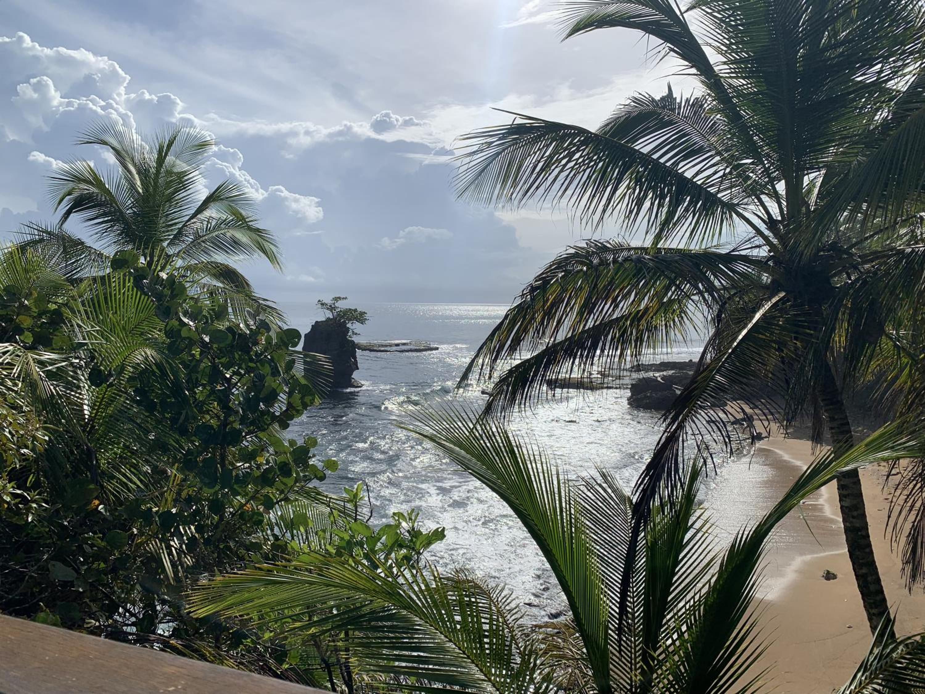 Casa Blanca Beachfront House with Shared Pool Access Pangea Lodge