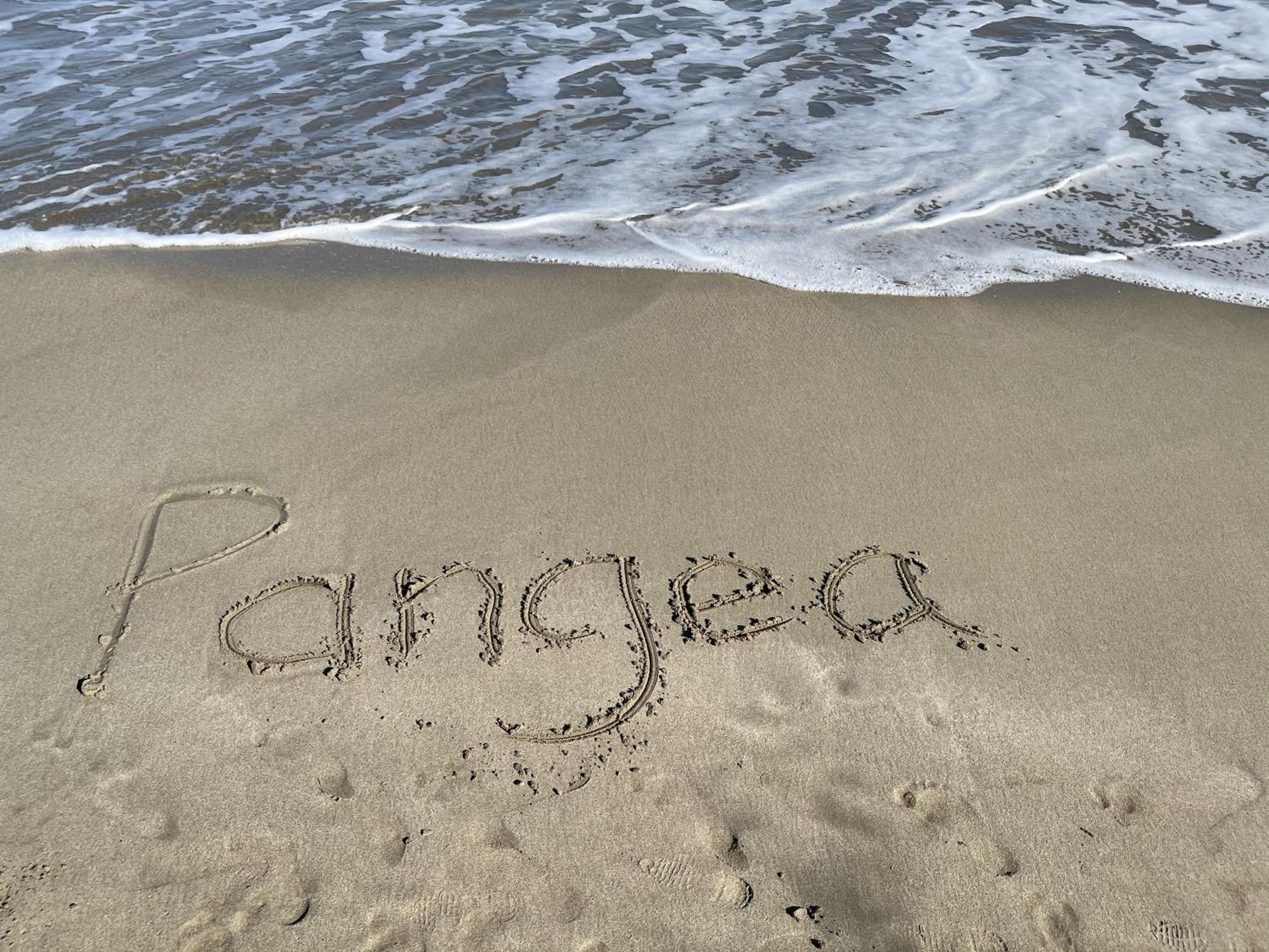 Casa Blanca Beachfront House with Shared Pool Access Pangea Lodge