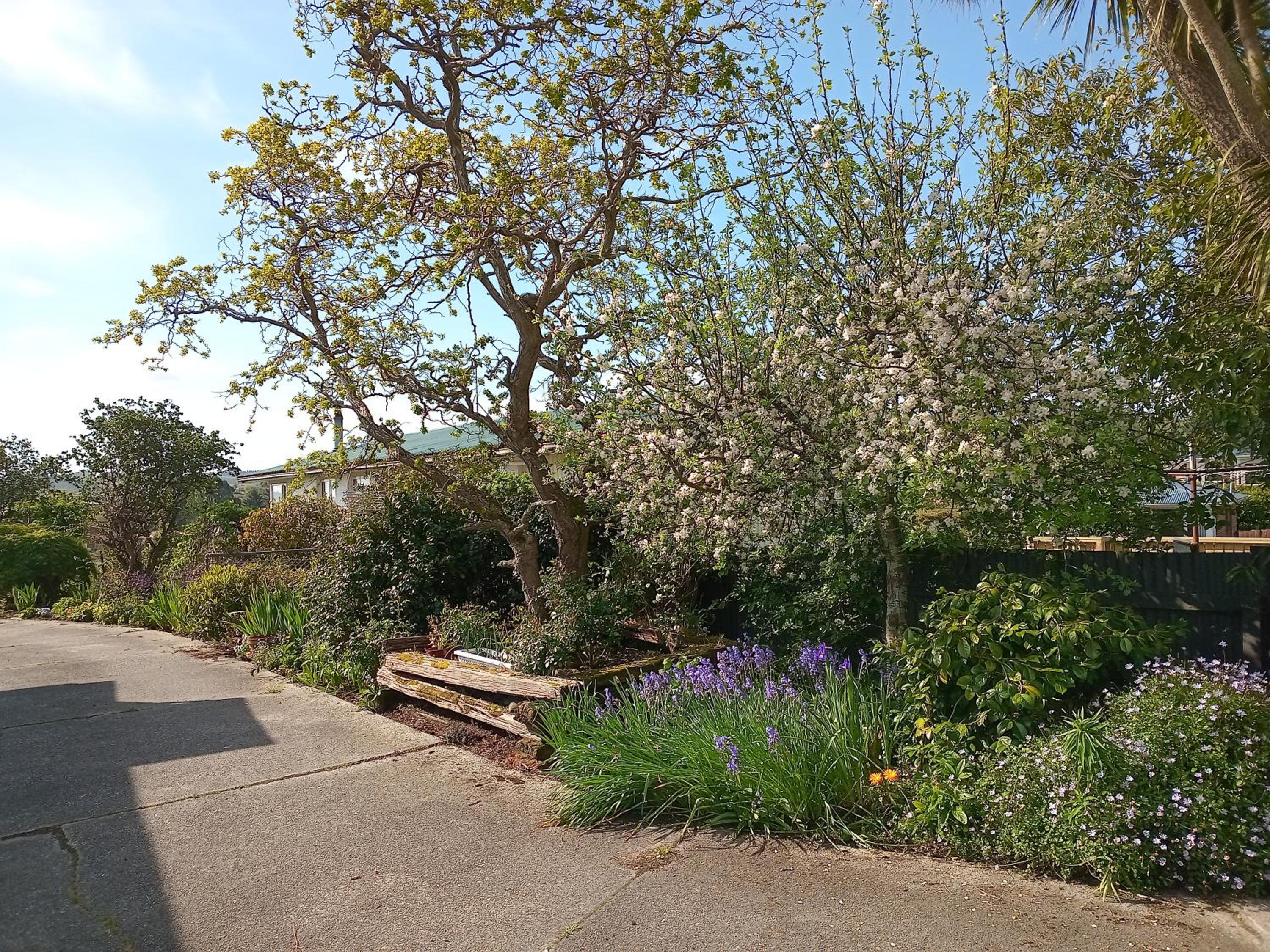 Photo 13