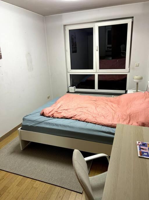 Appartement lumineux à Belair