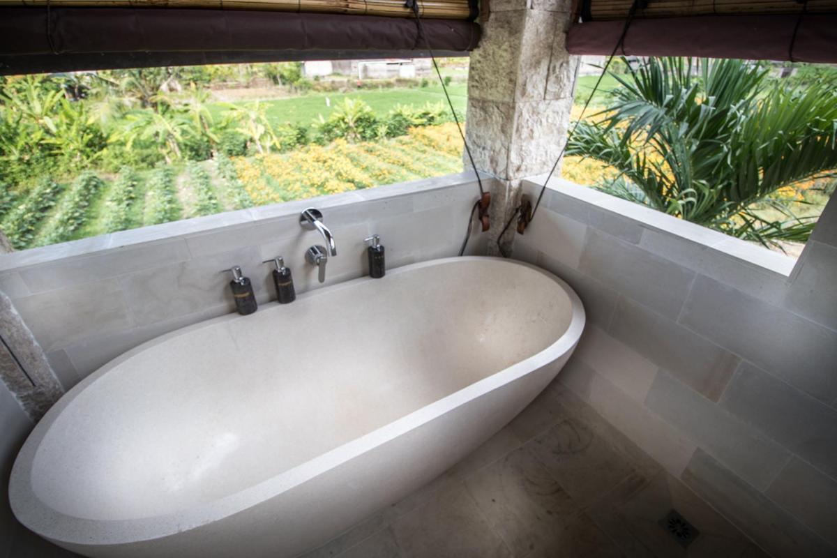 Samastiti villas by the beach Lovina view 5