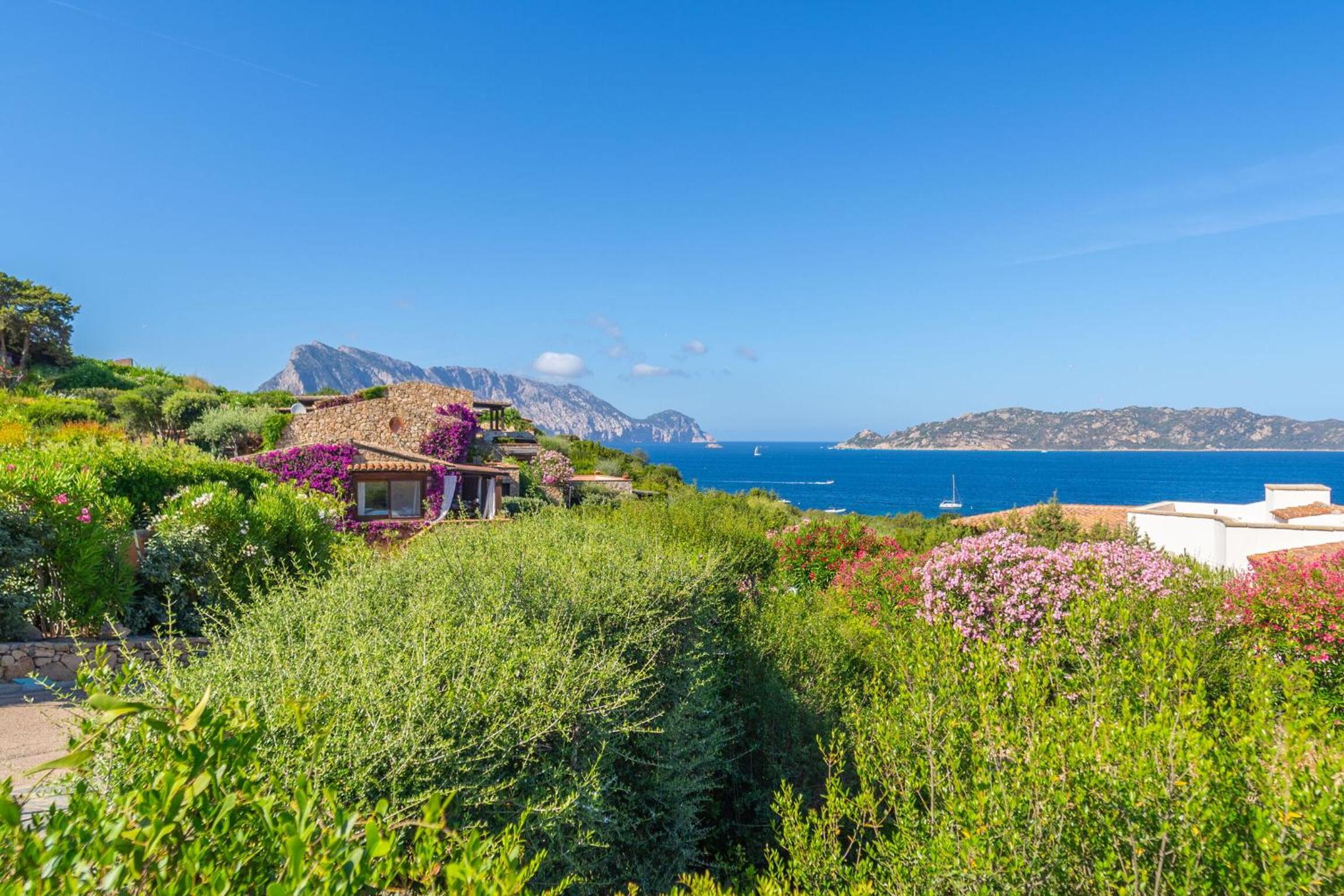 Villa Piperita - By Searly