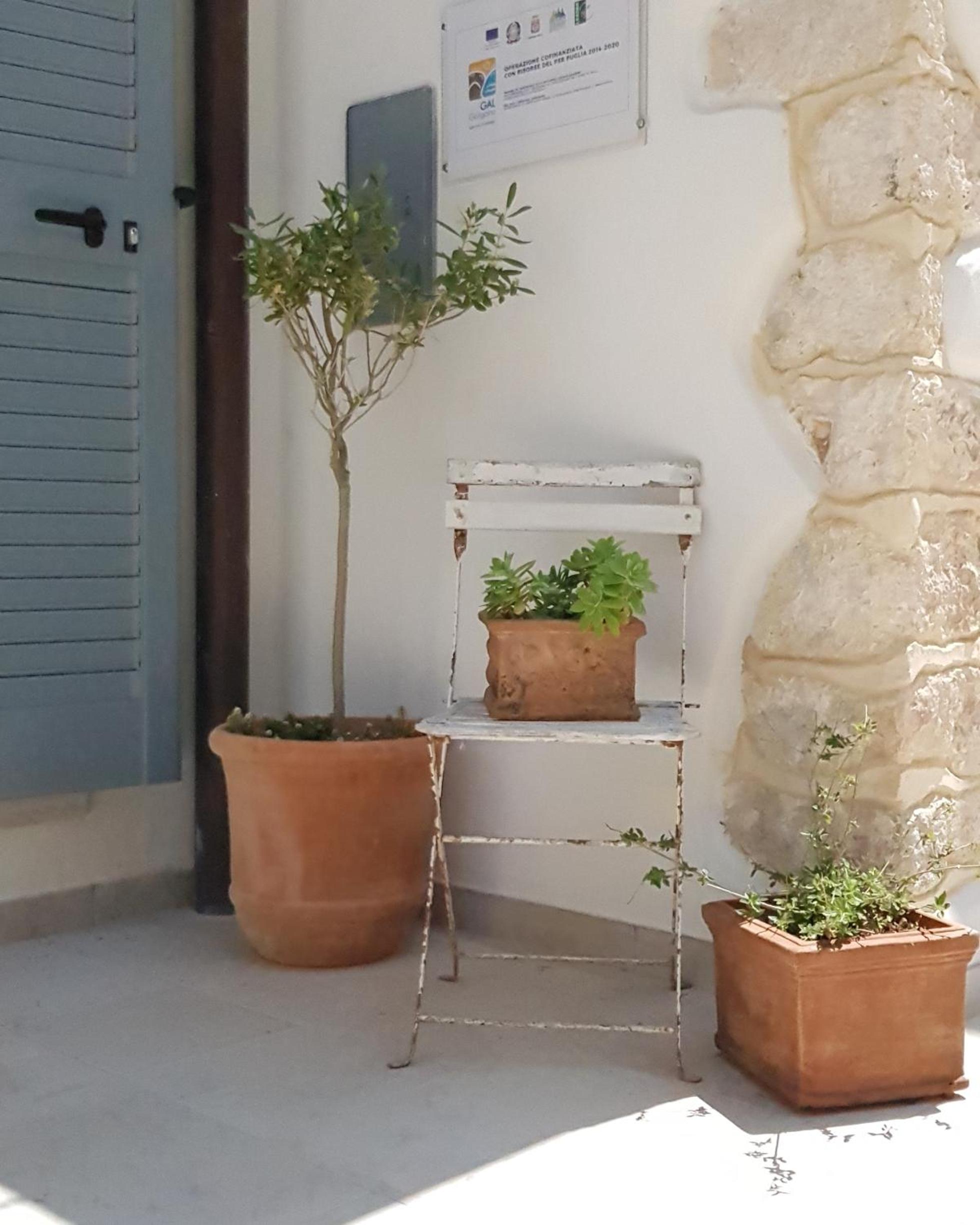 Gárgara Bed and Breakfast view 4