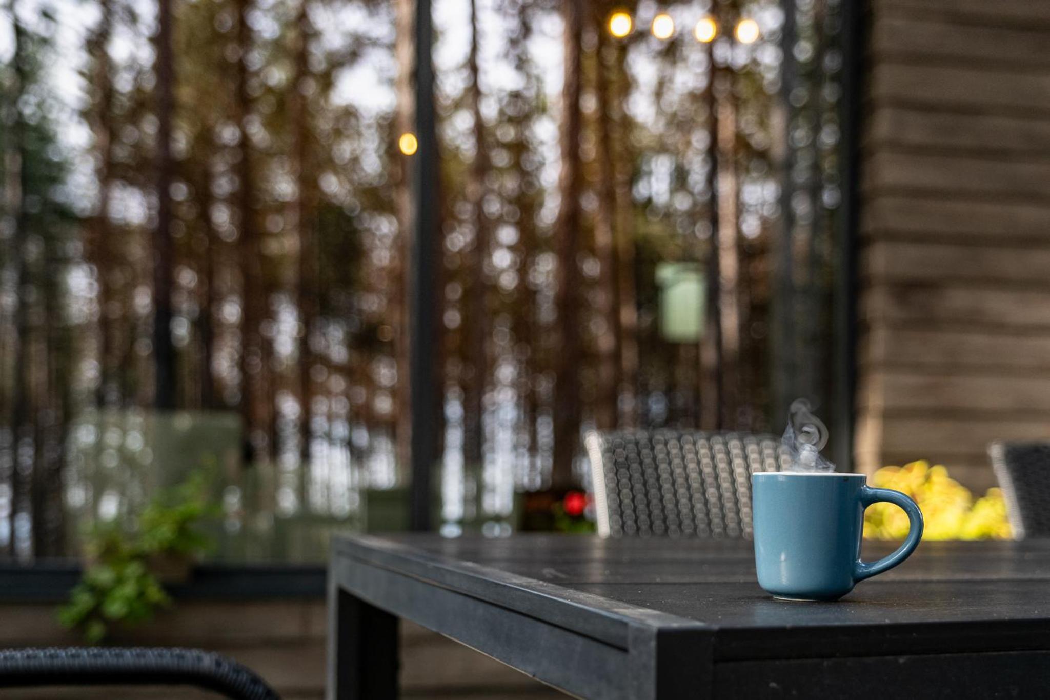 Forest House Vi