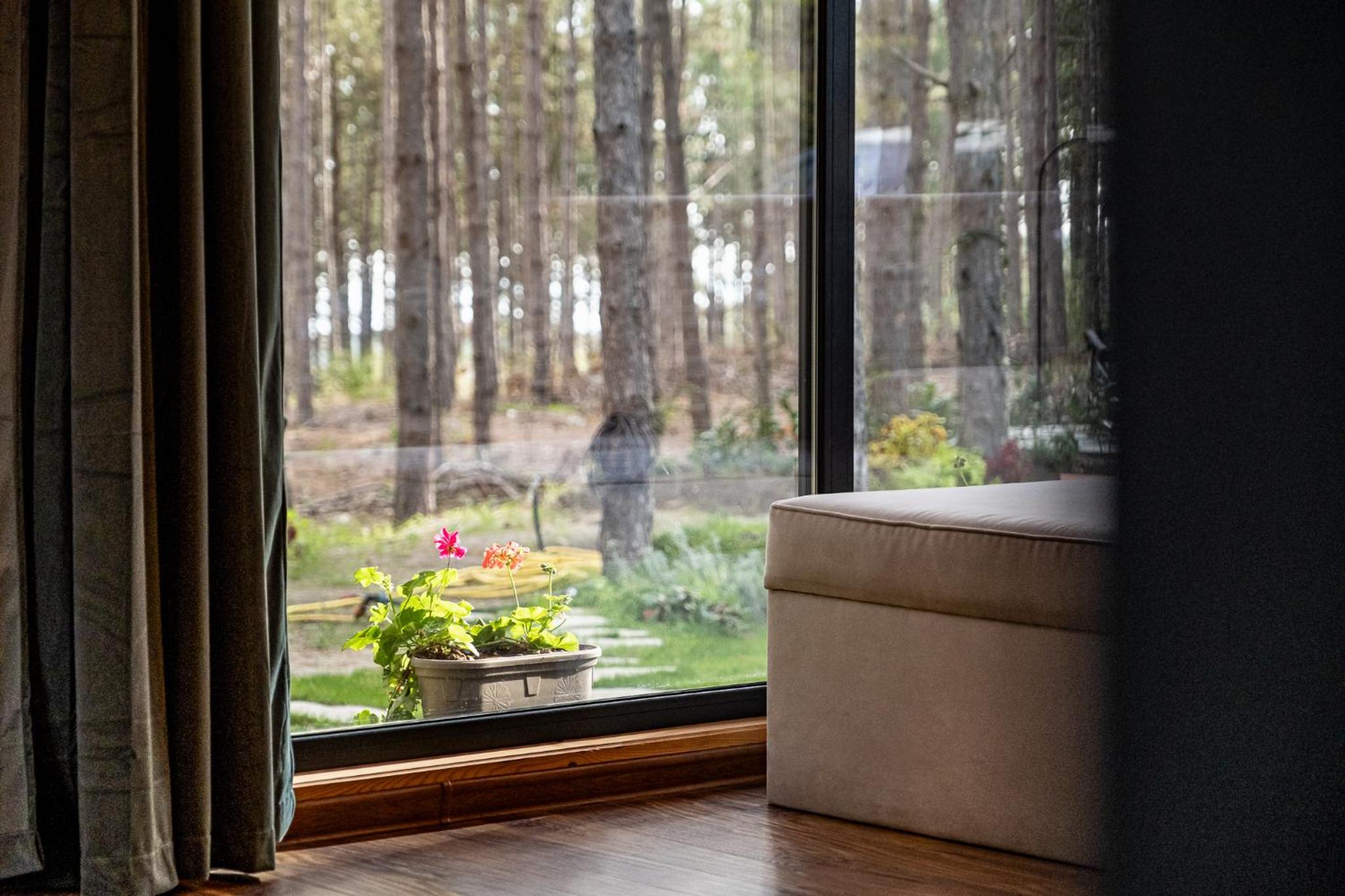 Forest House Vi