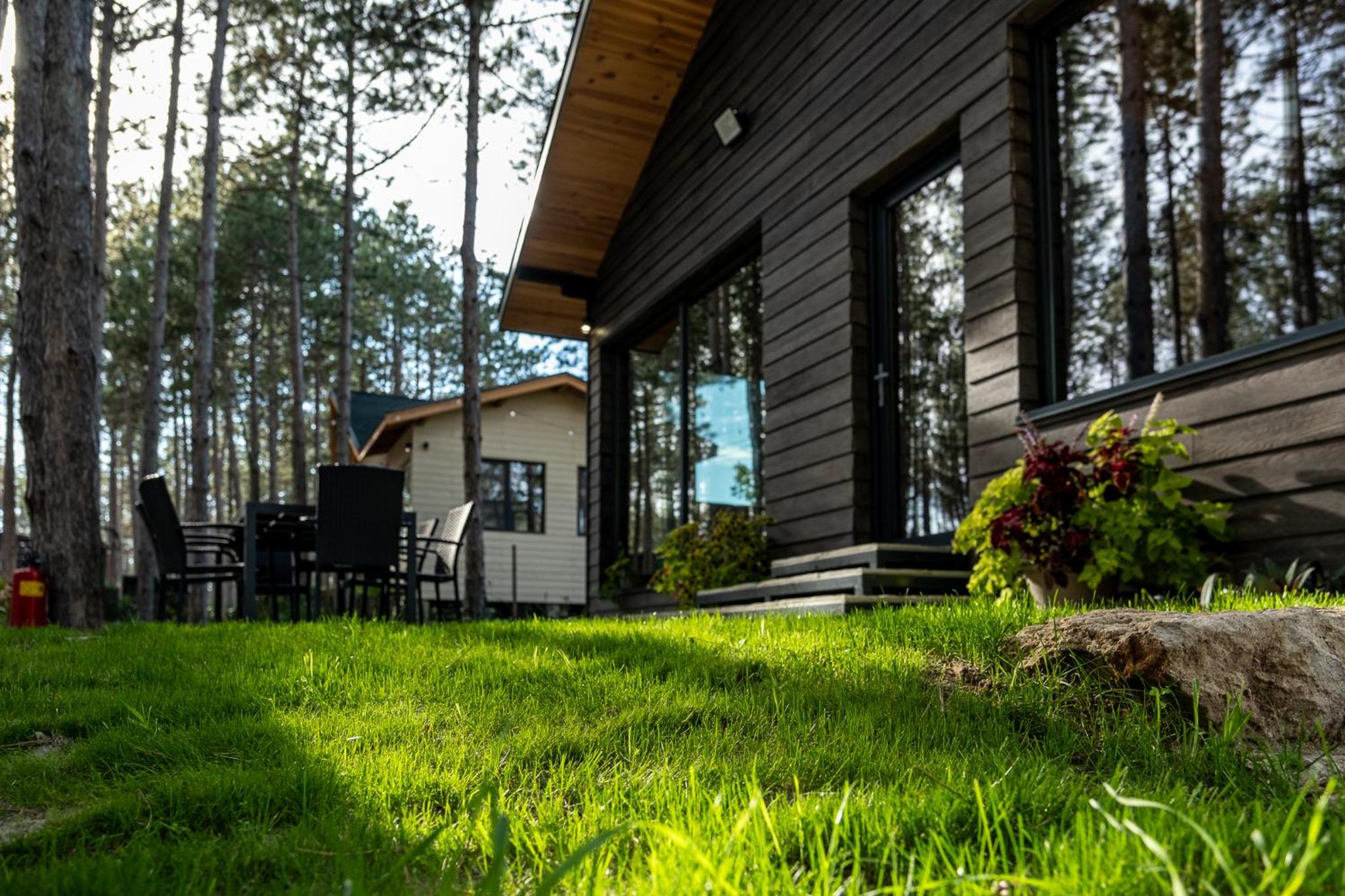 Forest House Vi