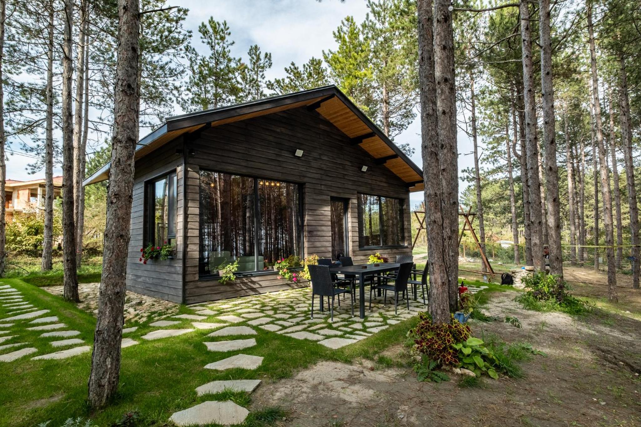 Forest House Vi