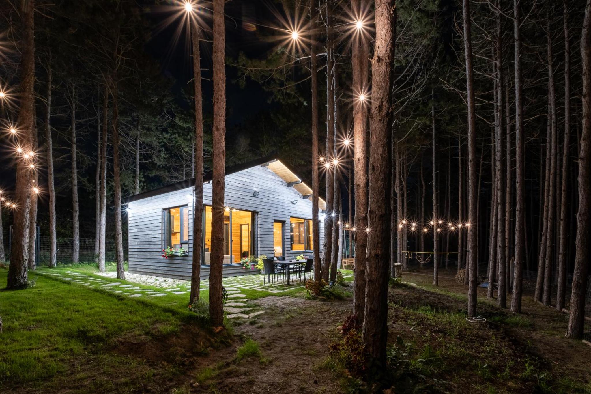 Forest House Vi