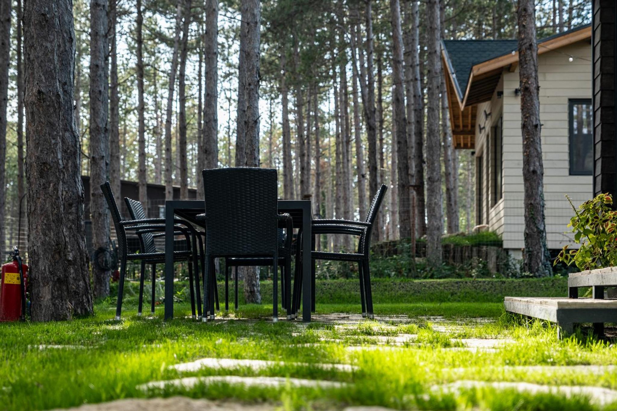 Forest House Vi