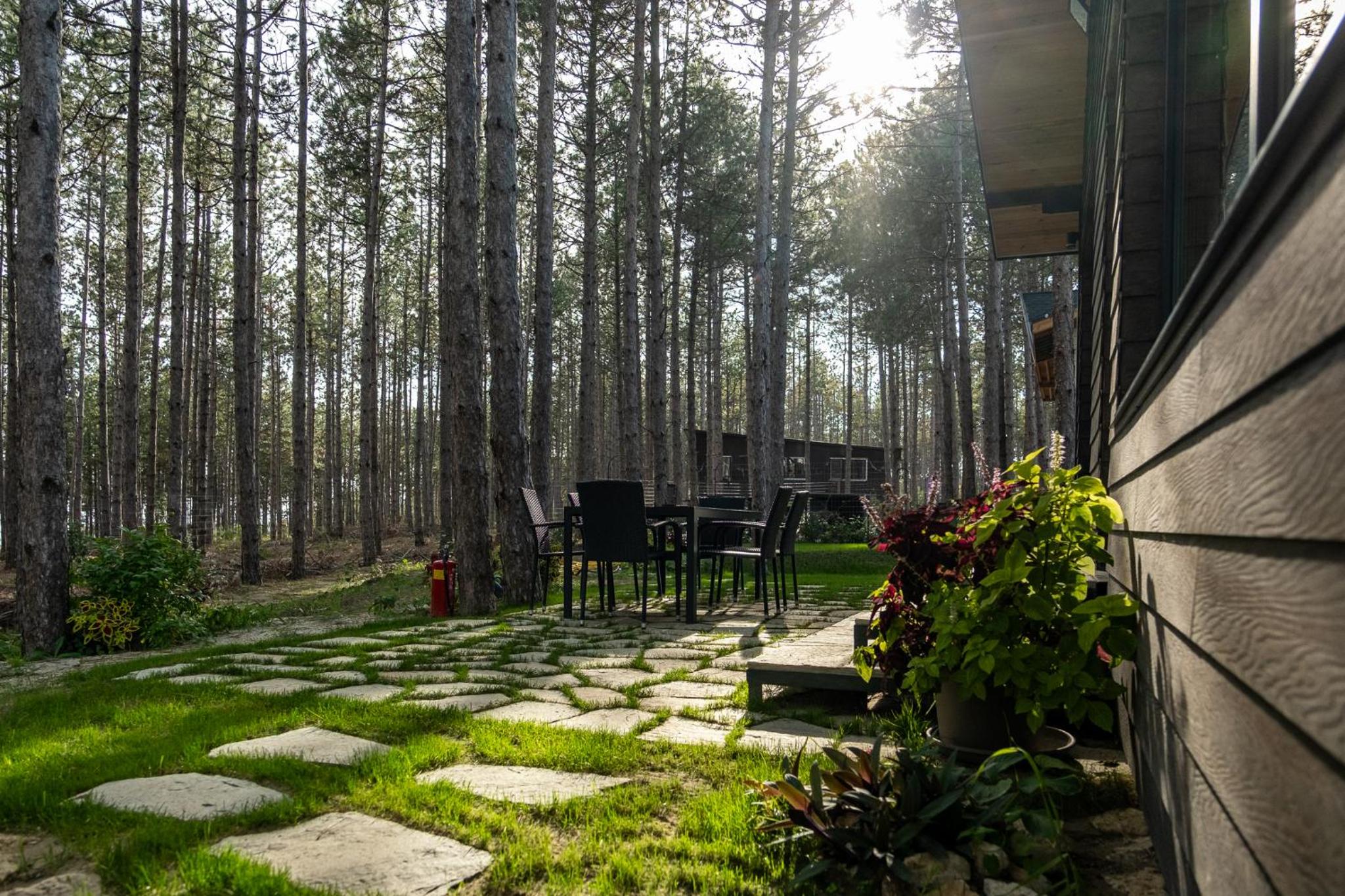 Forest House Vi
