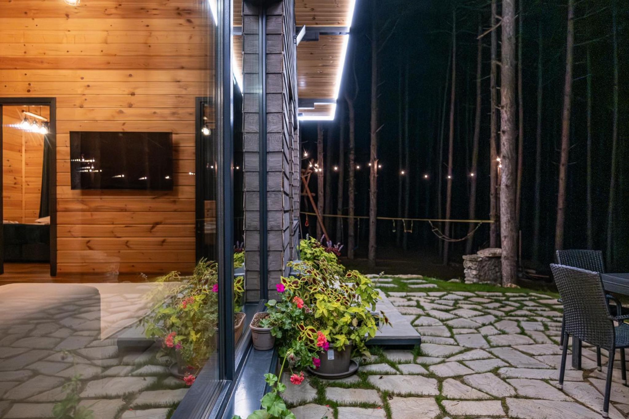 Forest House Vi
