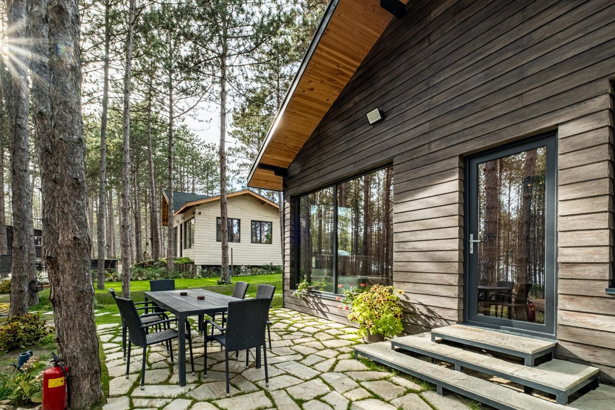 Forest House Vi