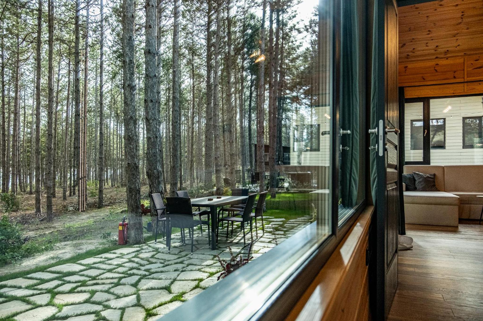 Forest House Vi