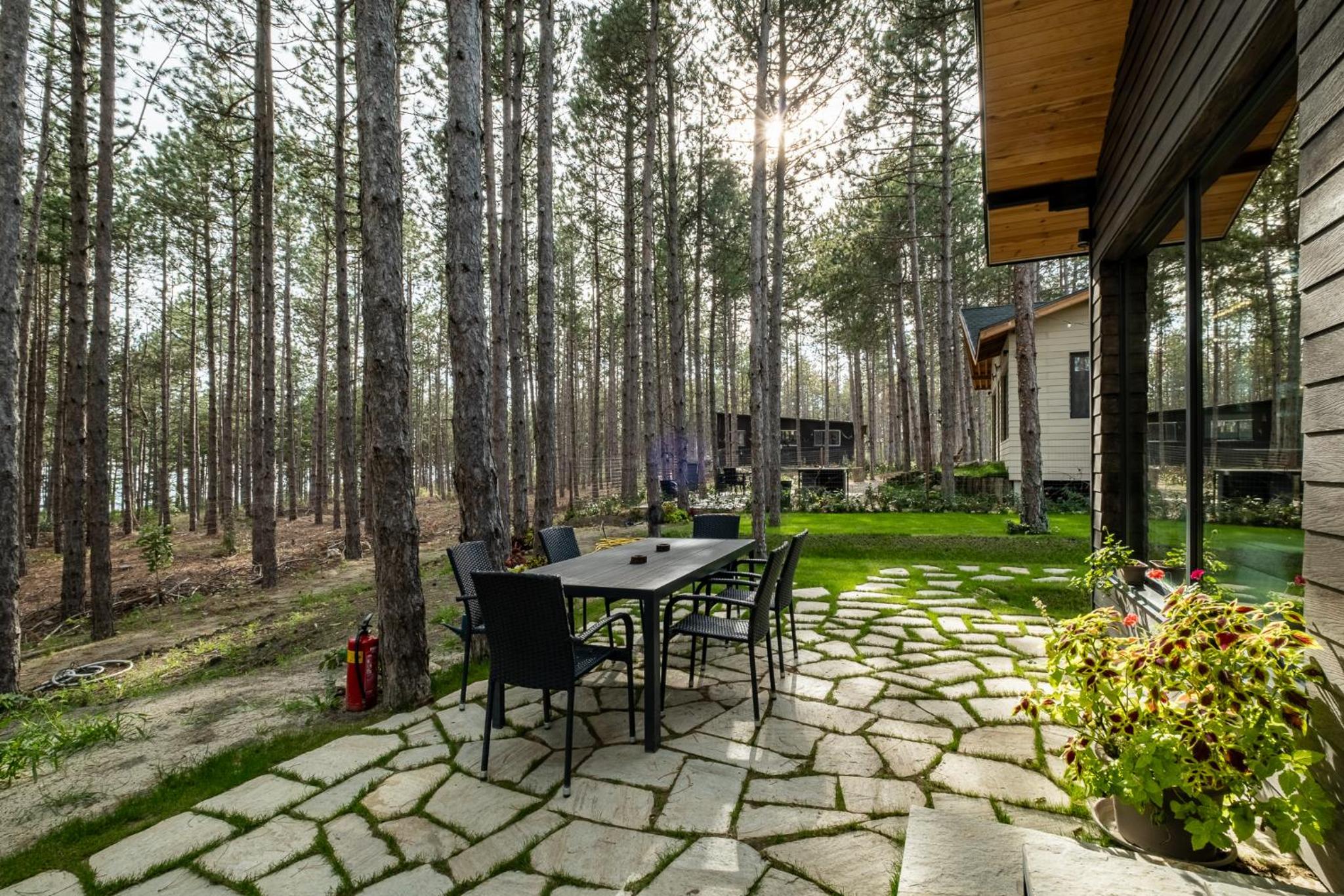 Forest House Vi