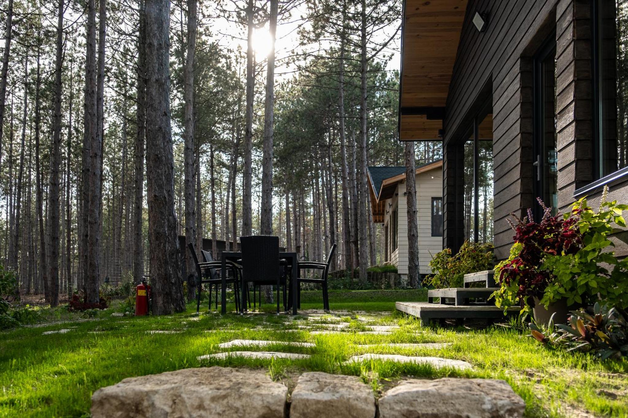 Forest House Vi
