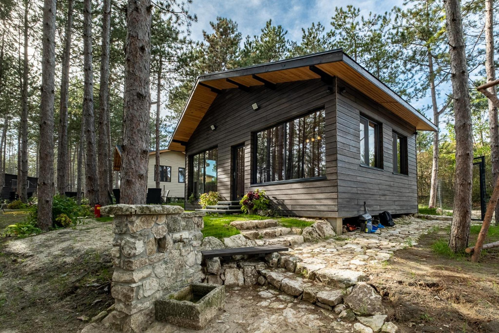 Forest House Vi