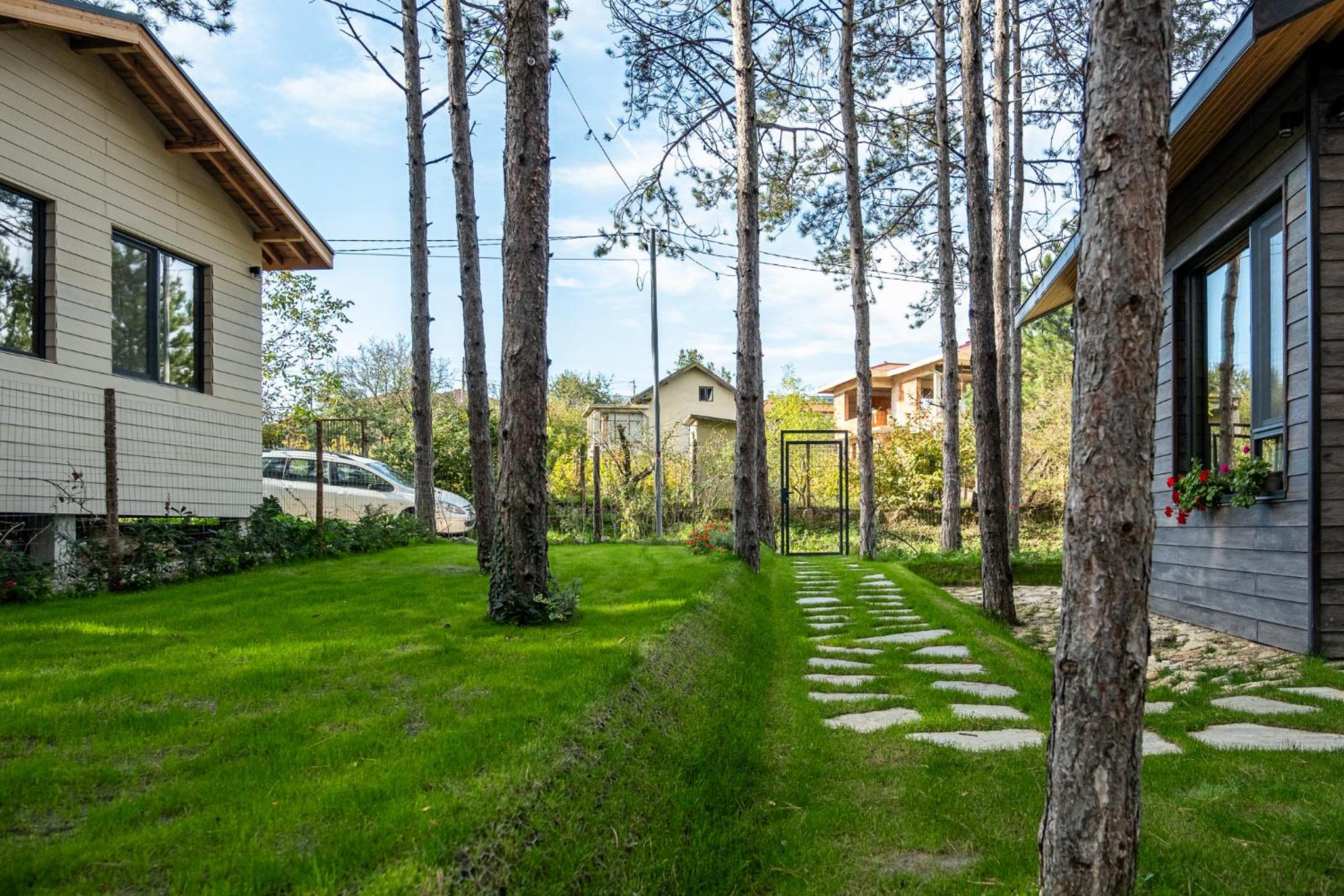 Forest House Vi