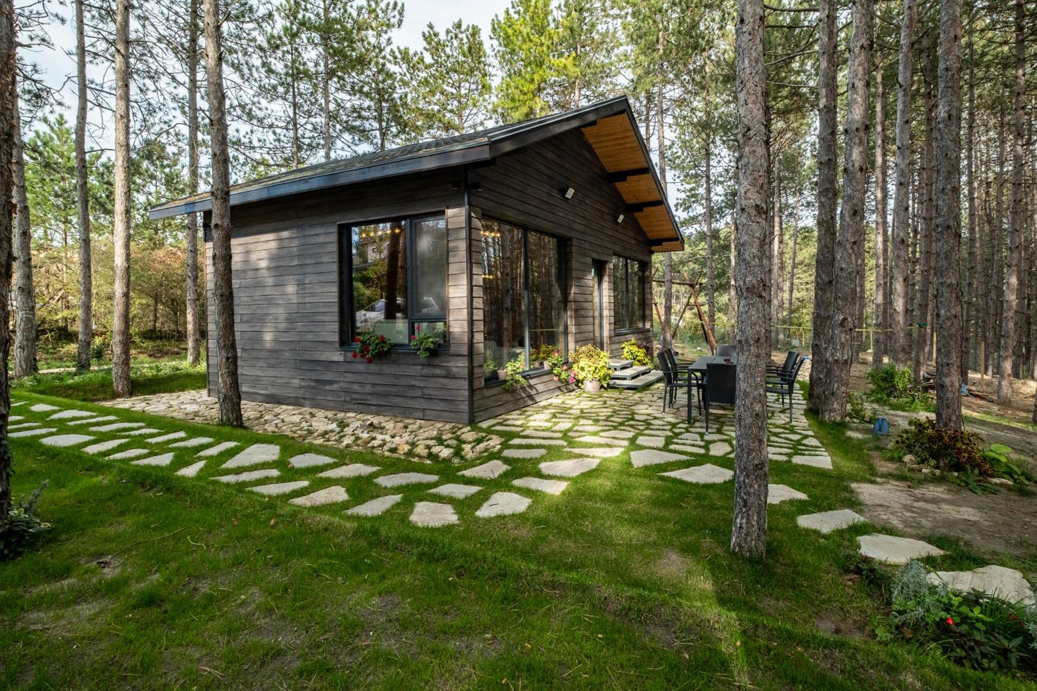 Forest House Vi