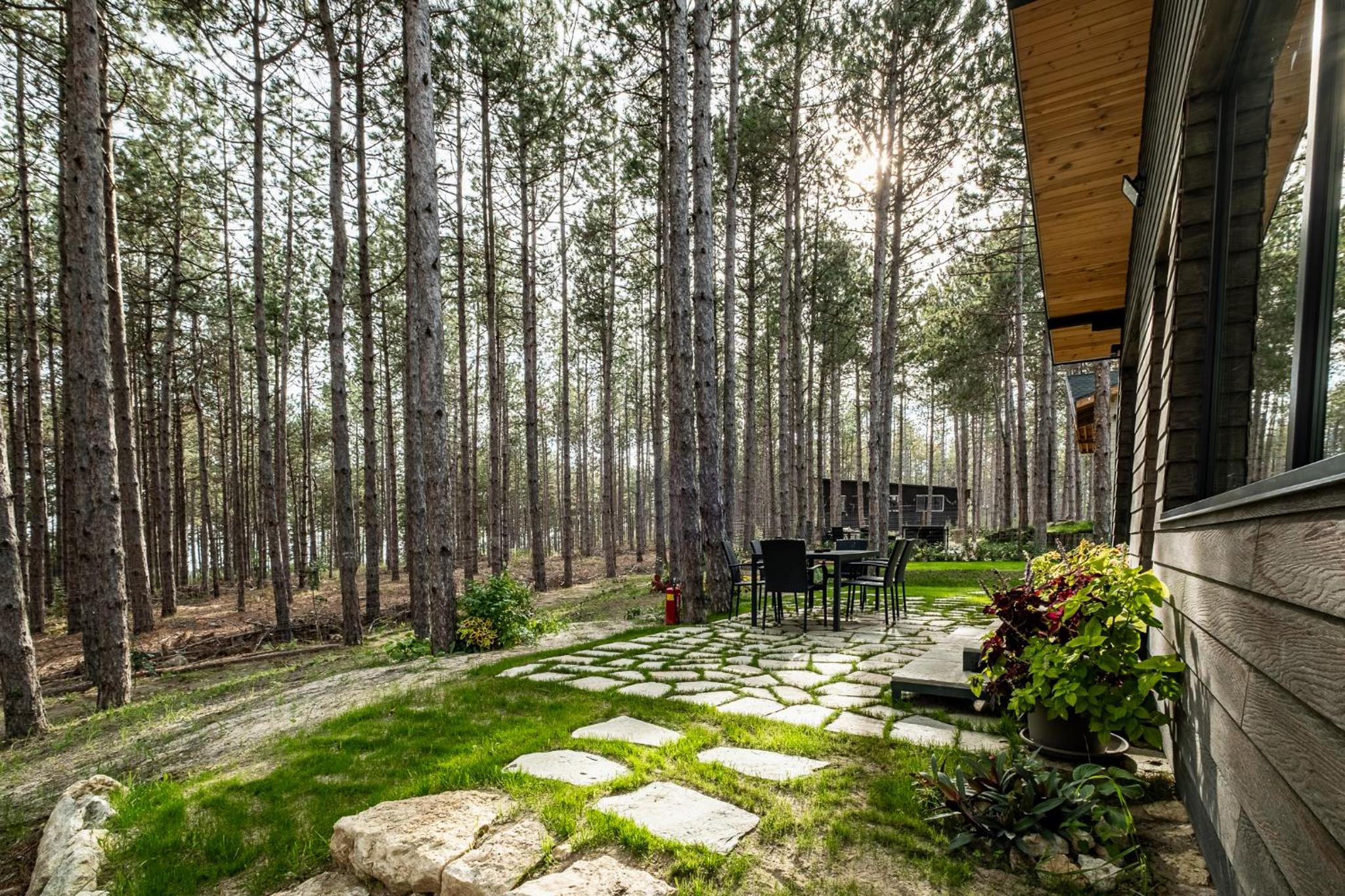 Forest House Vi