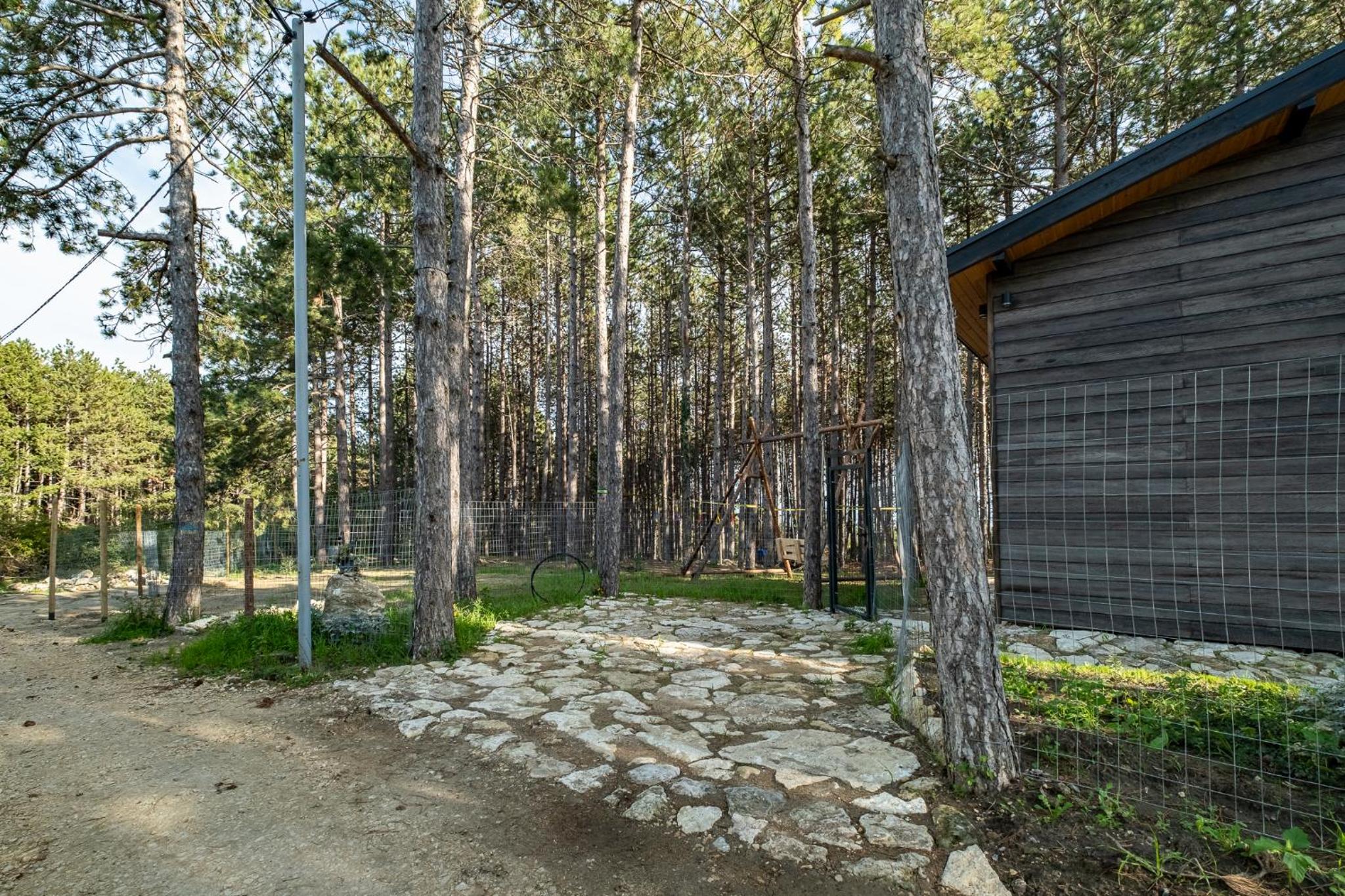 Forest House Vi