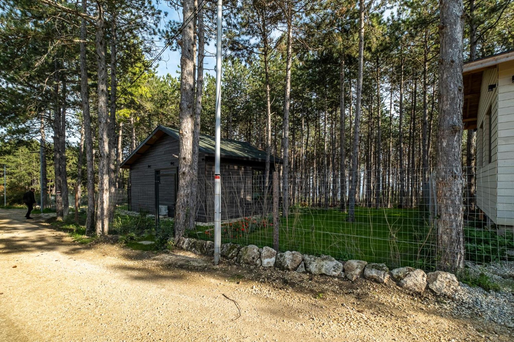 Forest House Vi