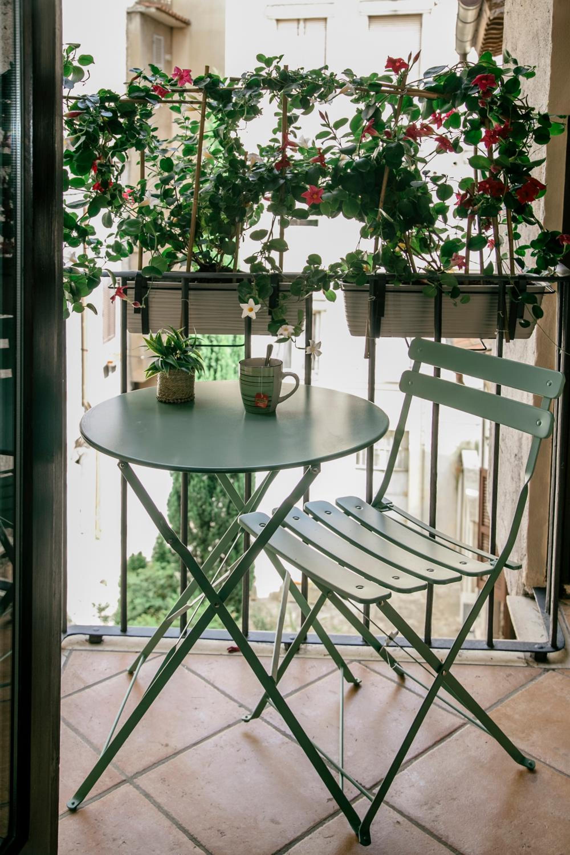 balance & terrace