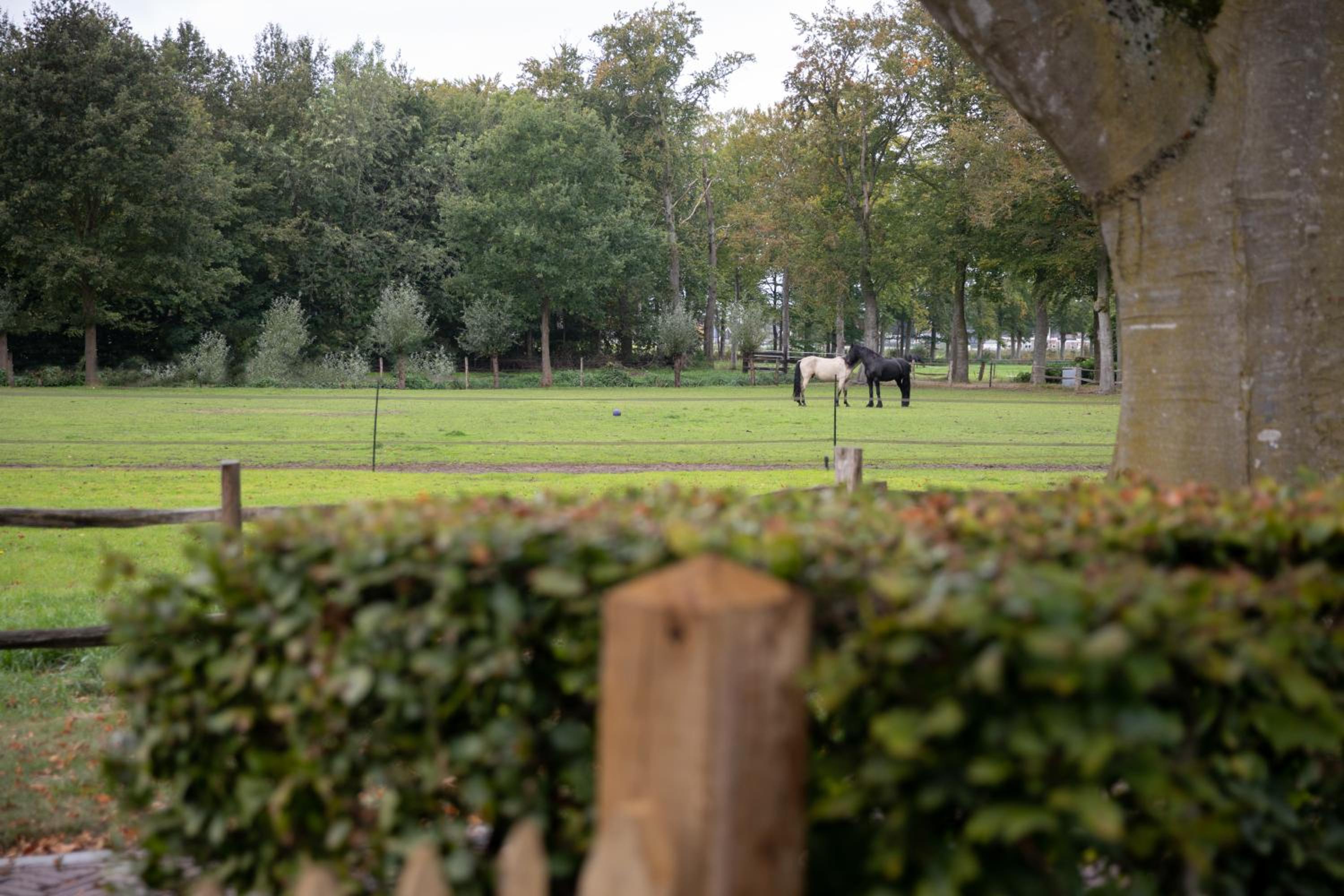 De Bovenstede view 4