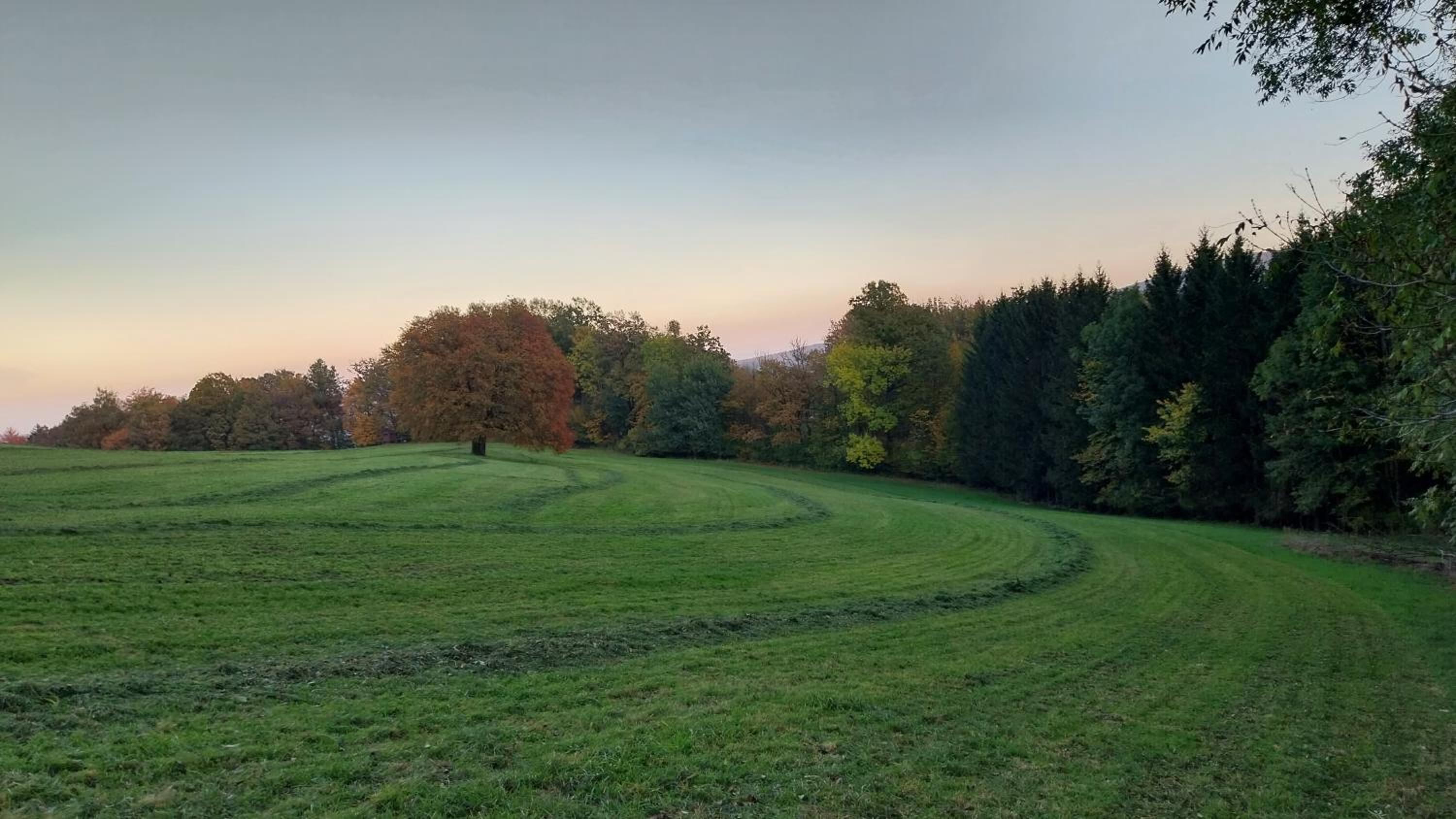 Appartement am Archehof Windbichl