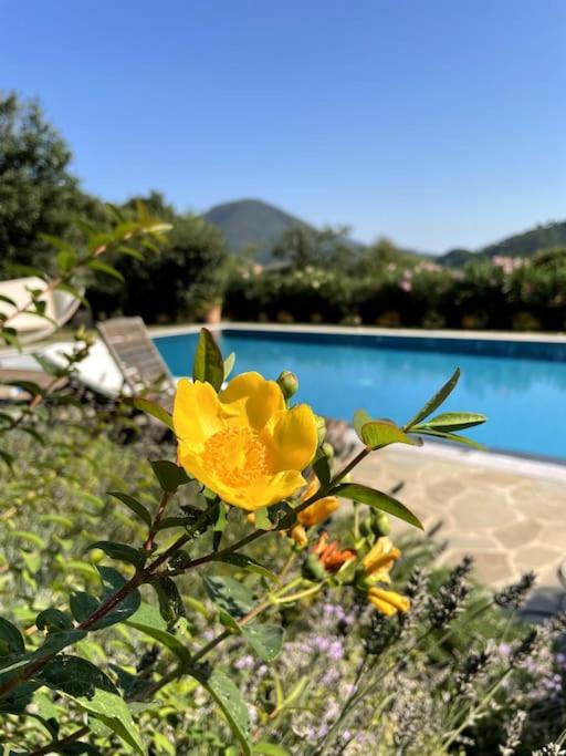 La Casa Gialla view 2