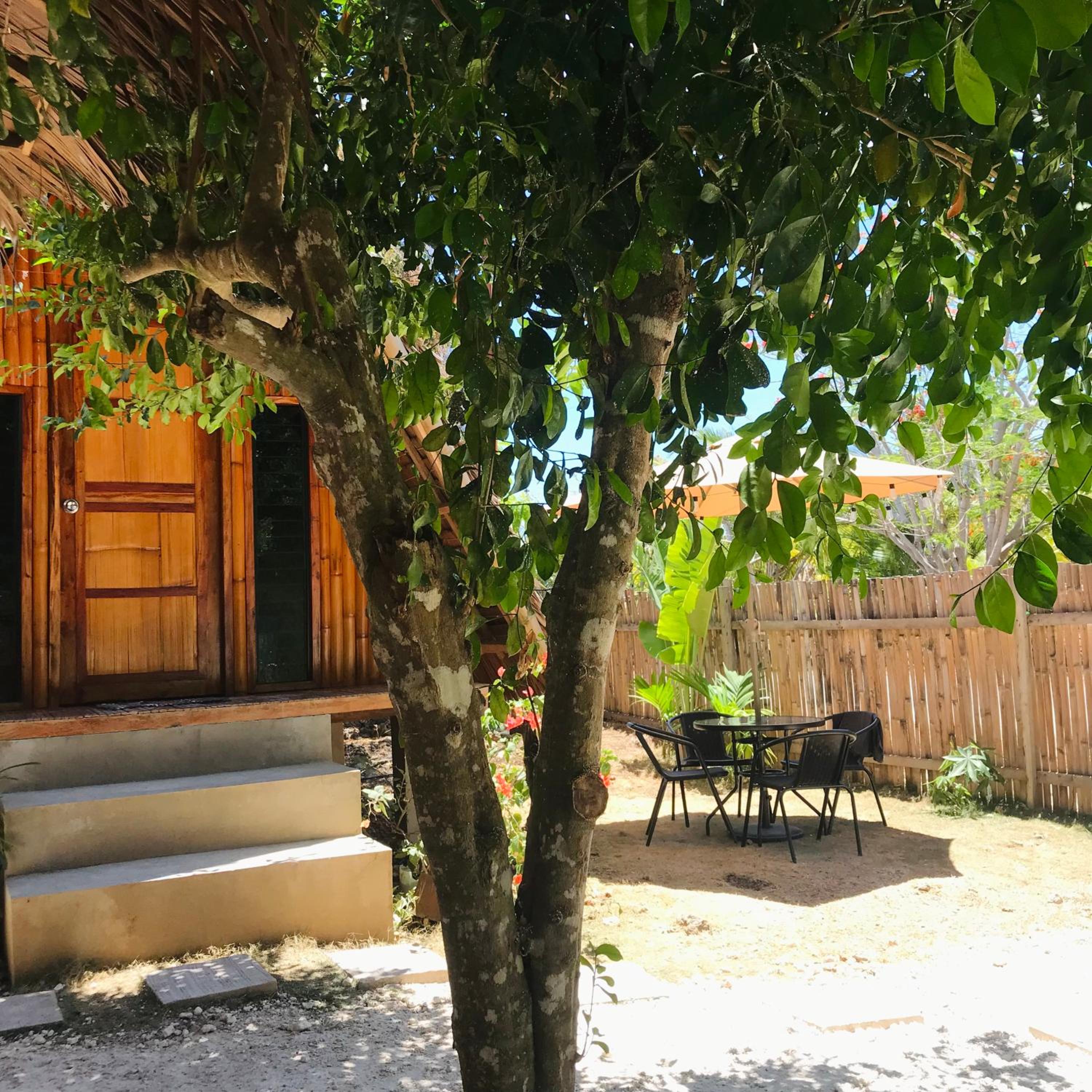 Photo 19
