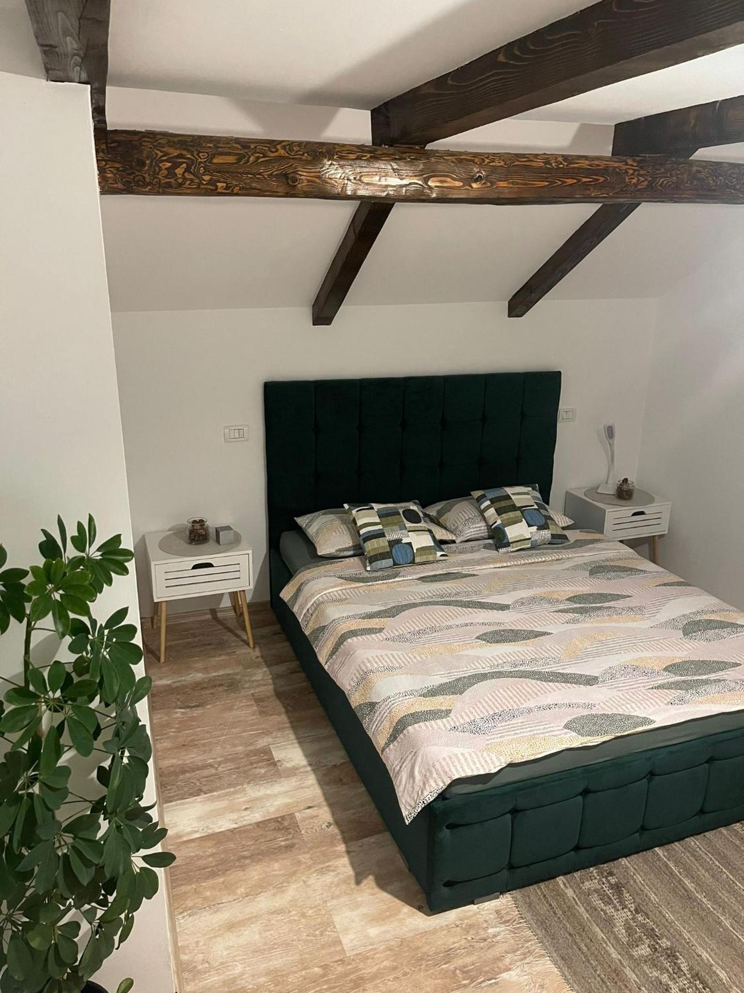 Casa David