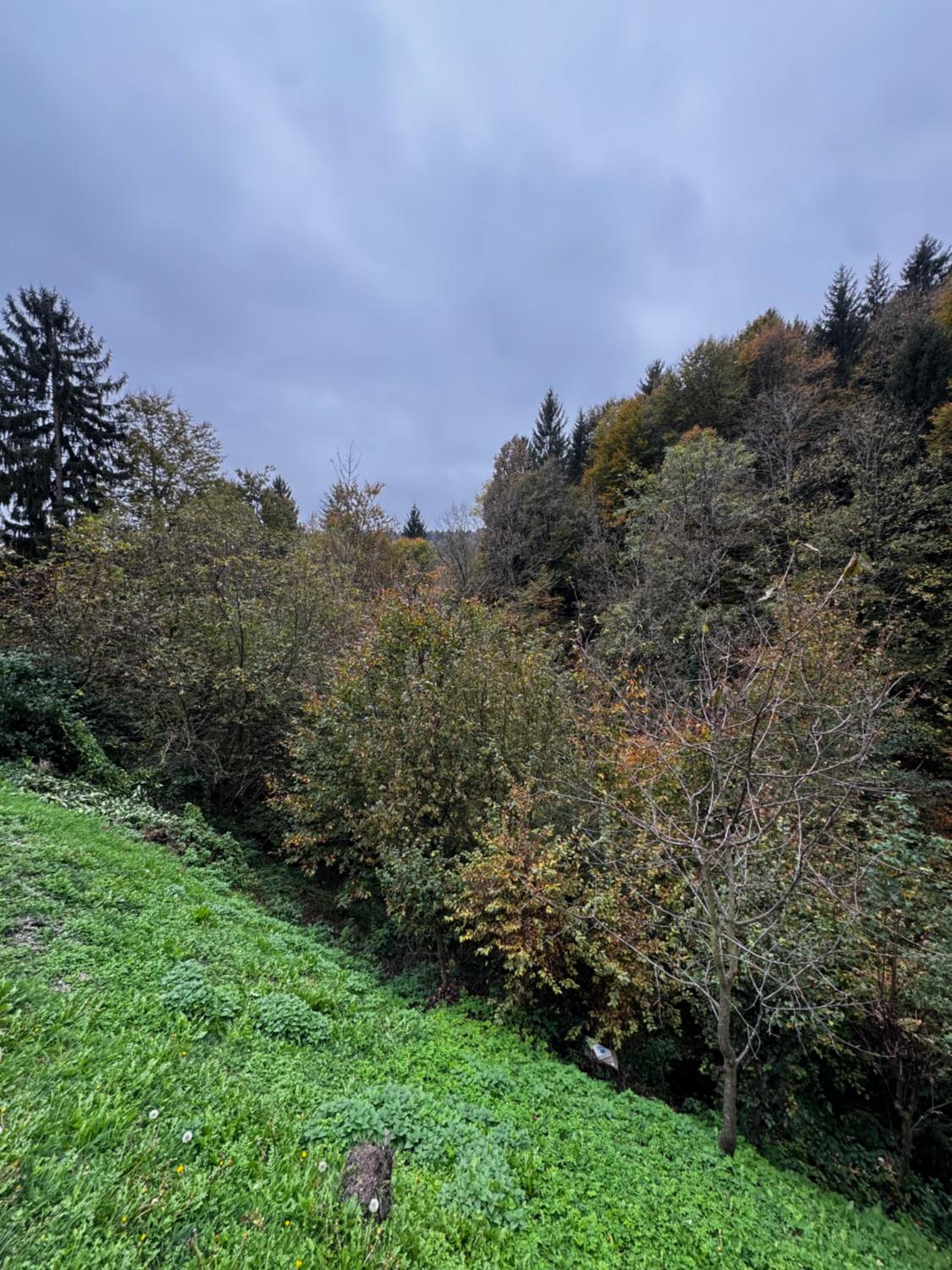 Chalet SS Pohorje