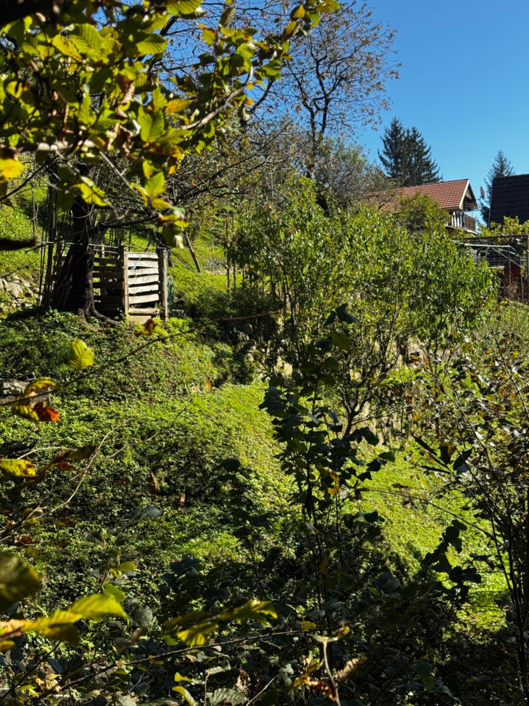 Chalet SS Pohorje