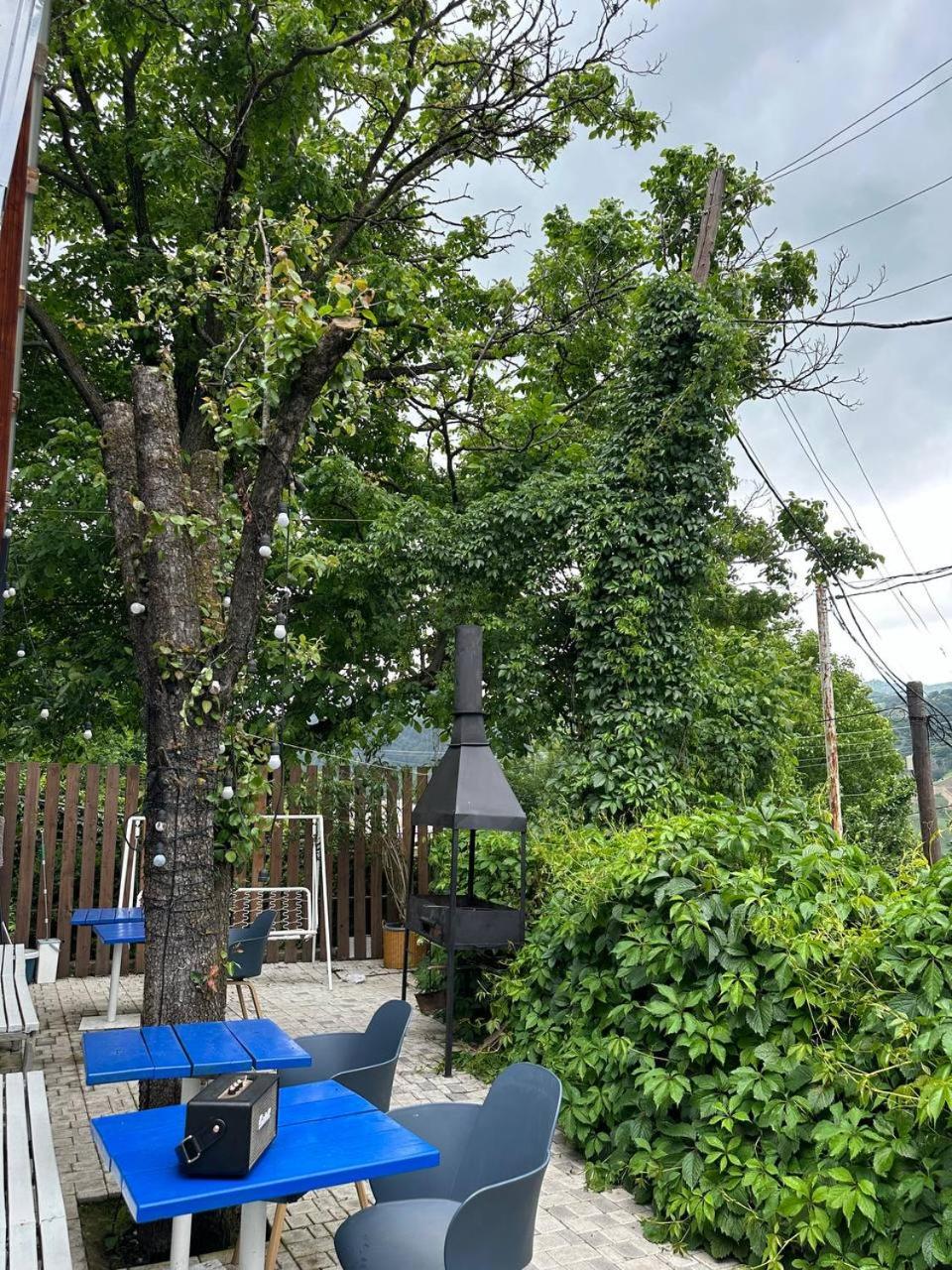 Magc nature of Dilijan