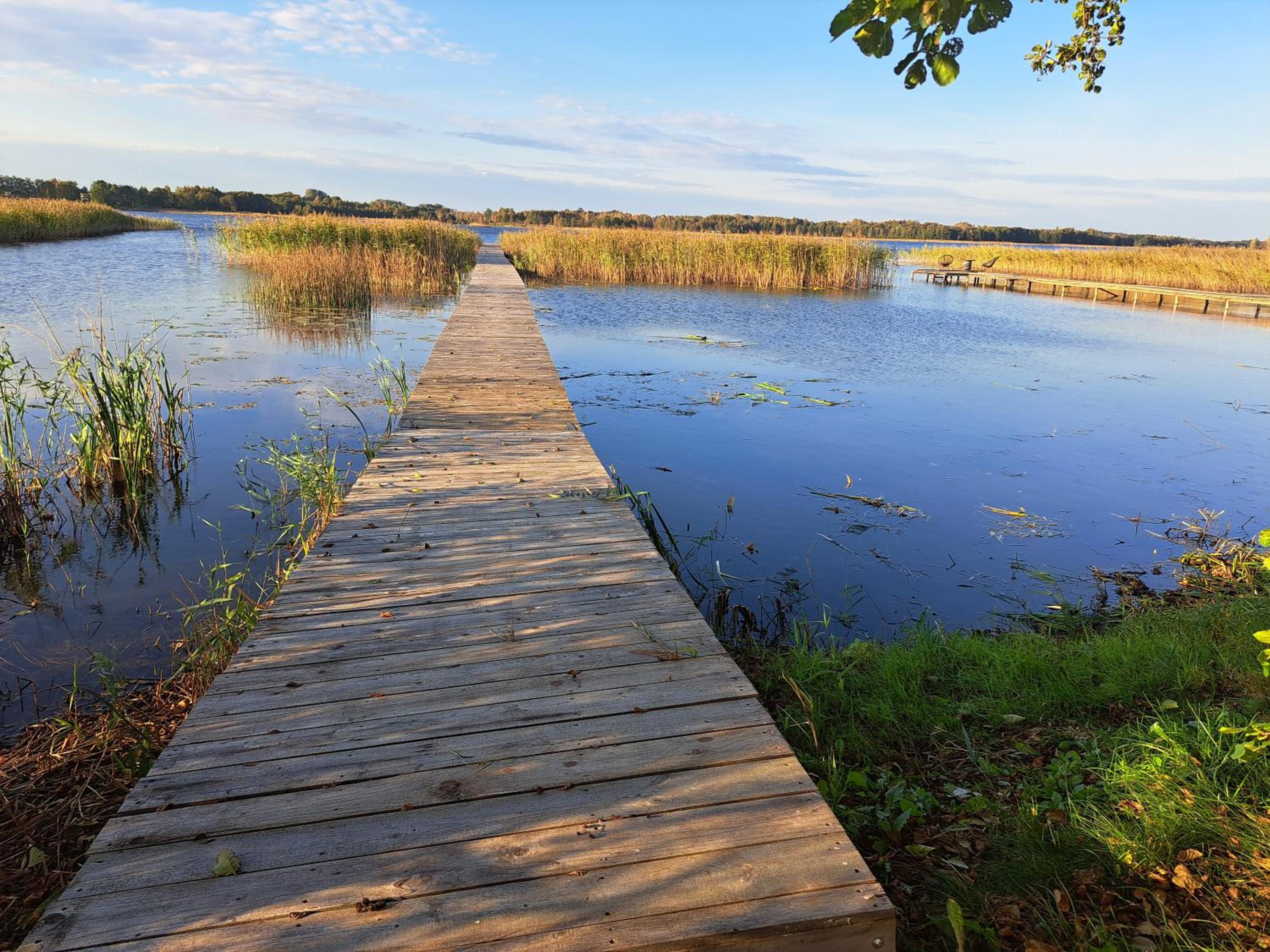 Šarkos sodyba view 3