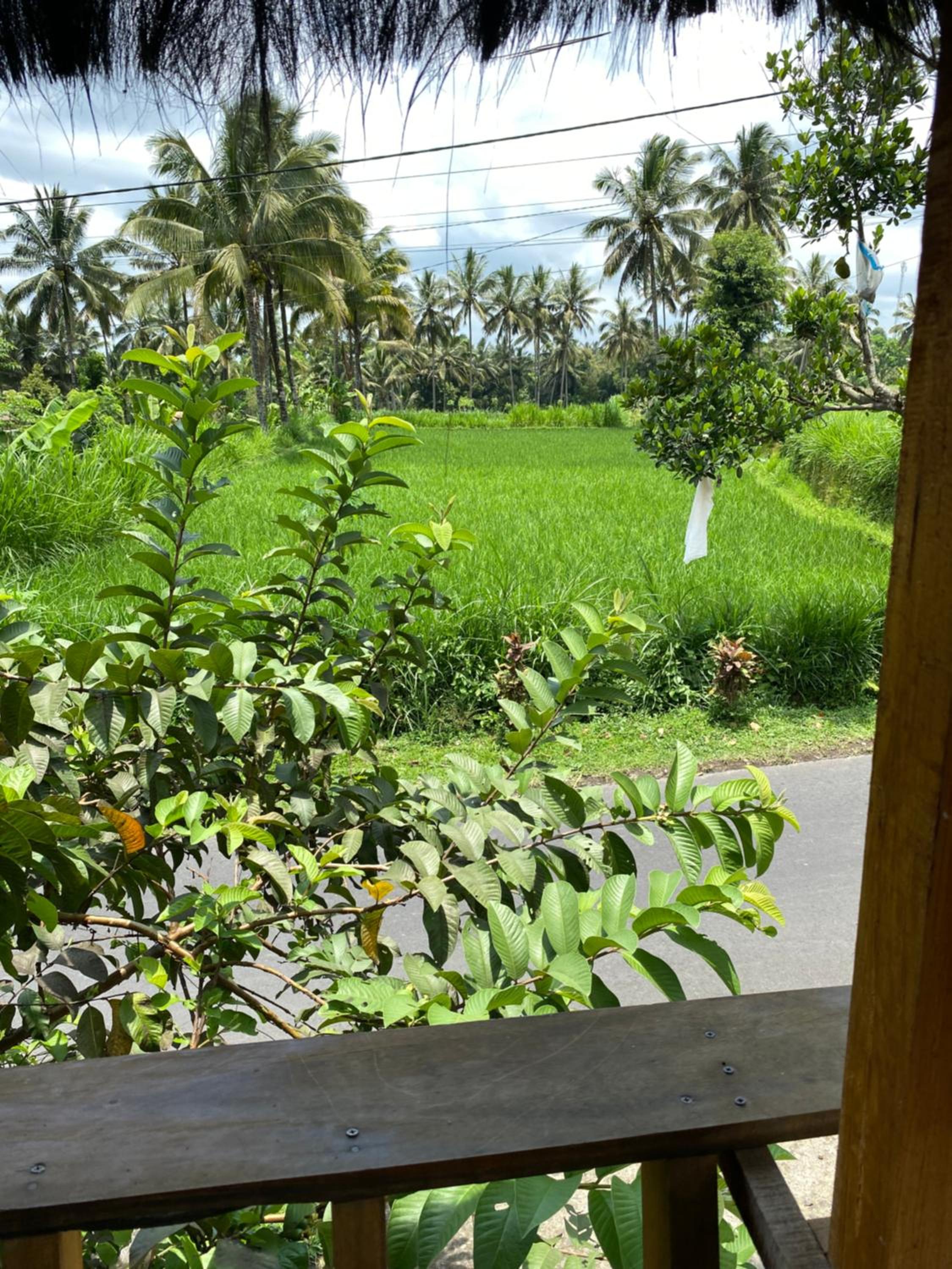 Upus Homestay view 5